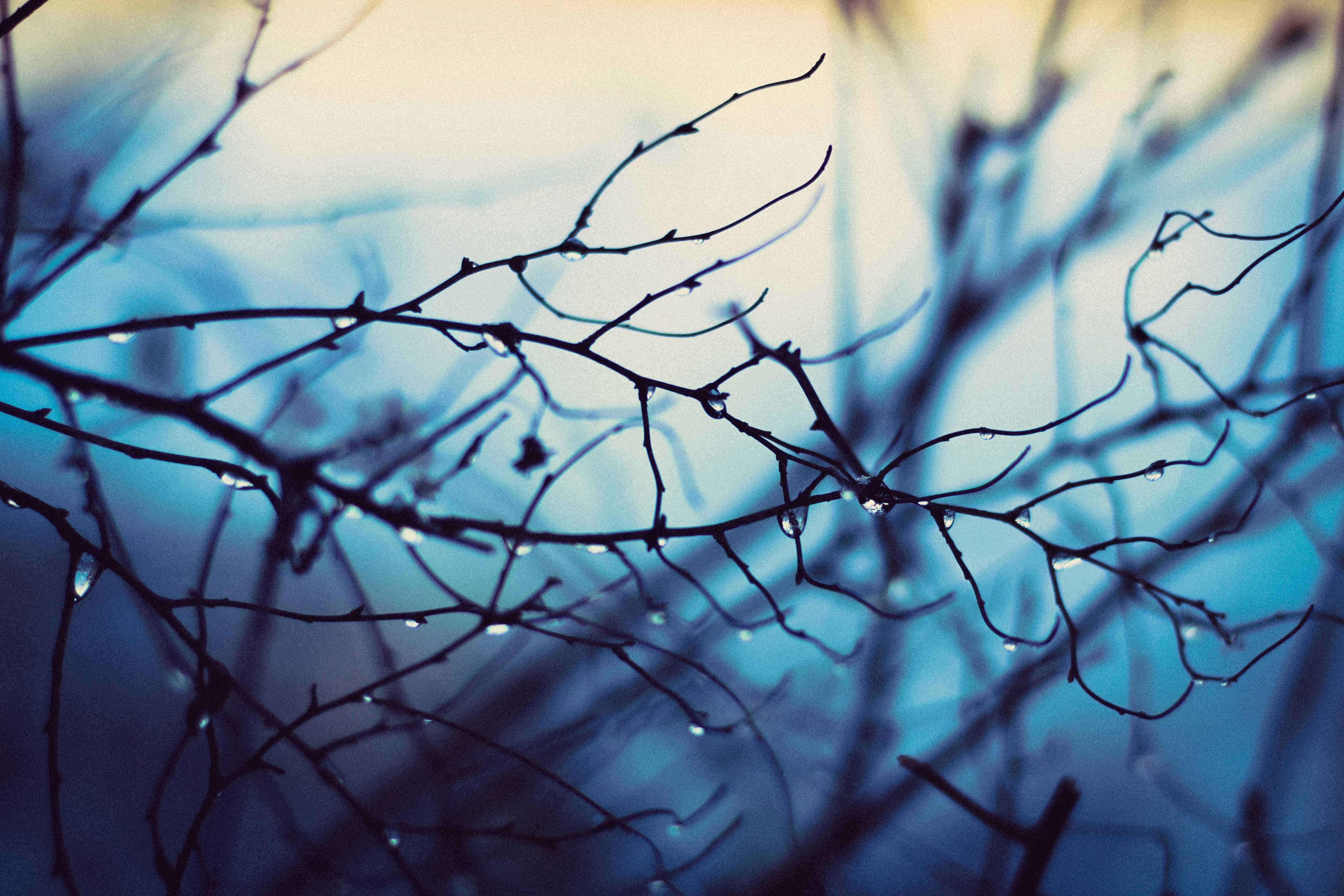 Photo by mineral_of_demon