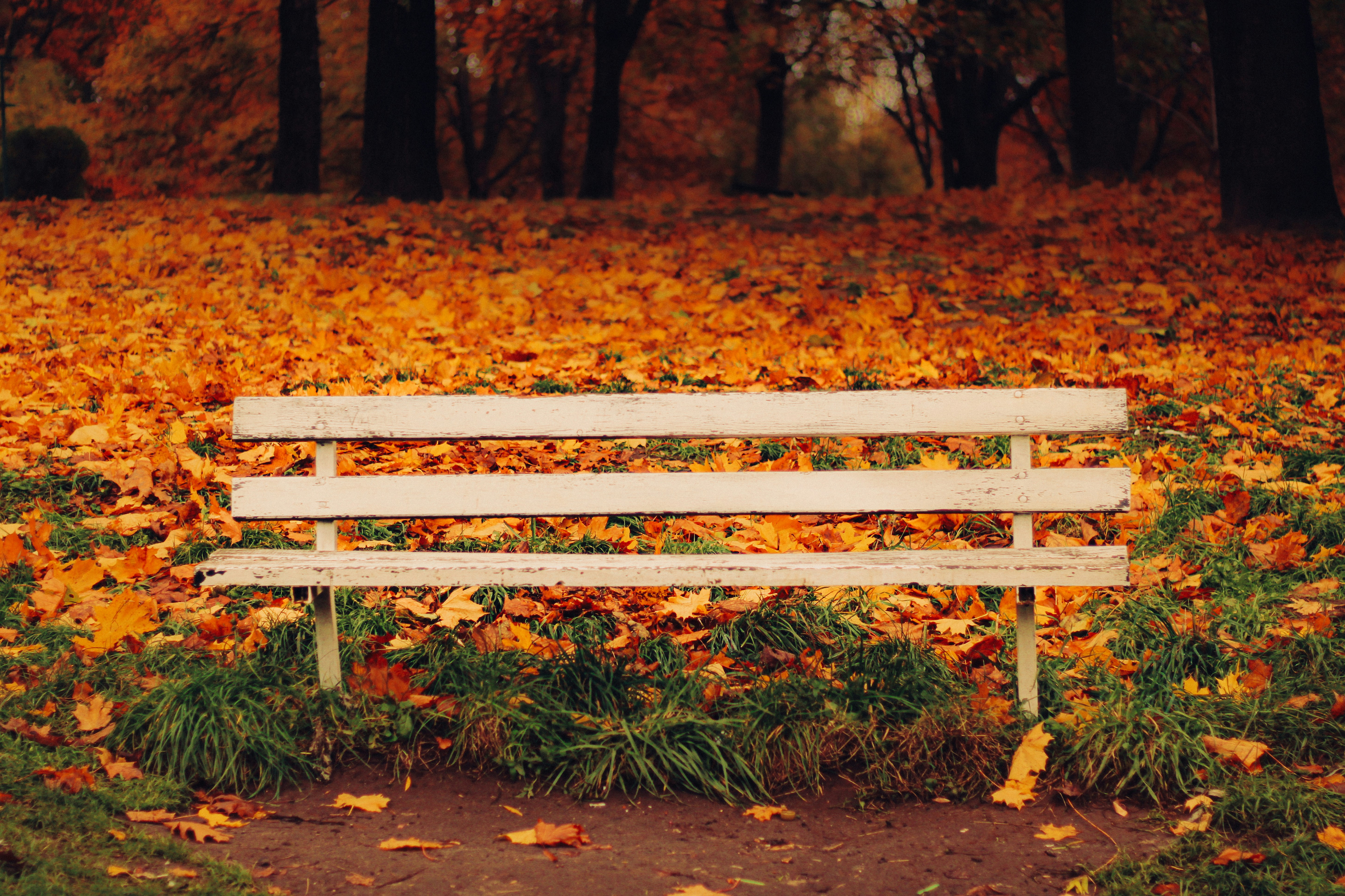 Photo by mineral_of_demon