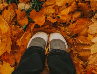 A person standing in a pile of leaves