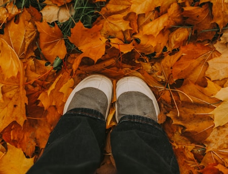 A person standing in a pile of leaves