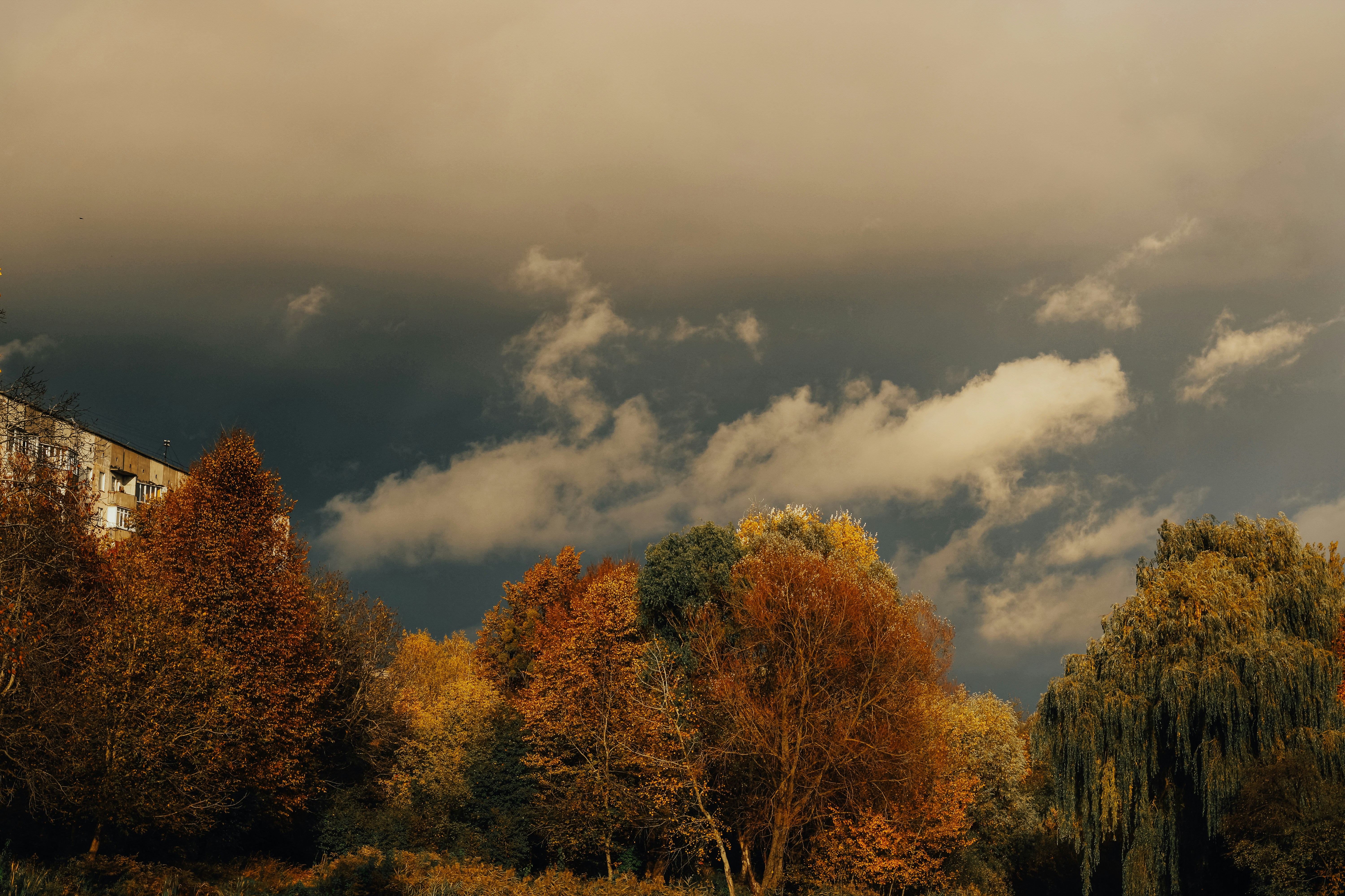 Photo by mineral_of_demon