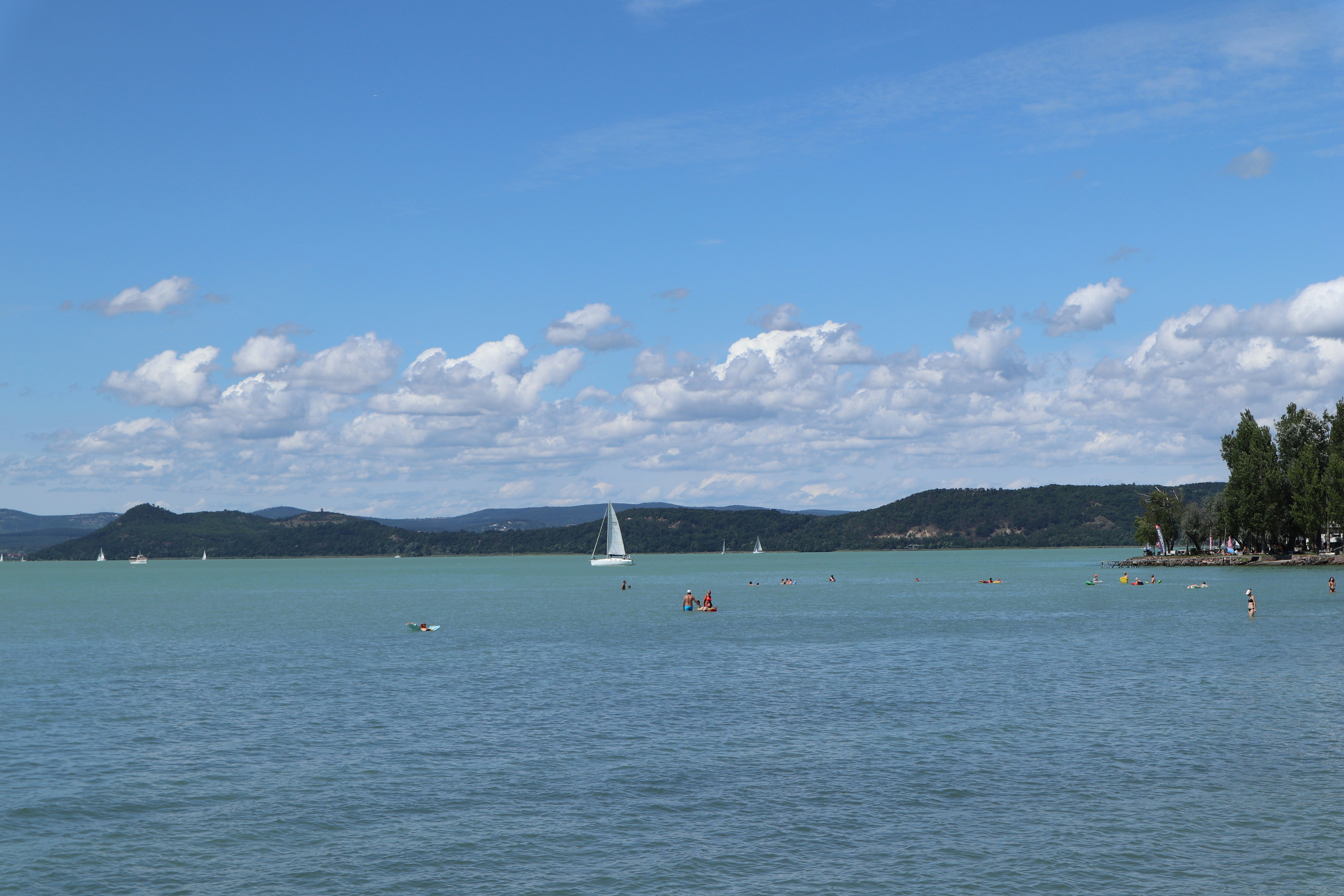 Photo by balint_miko