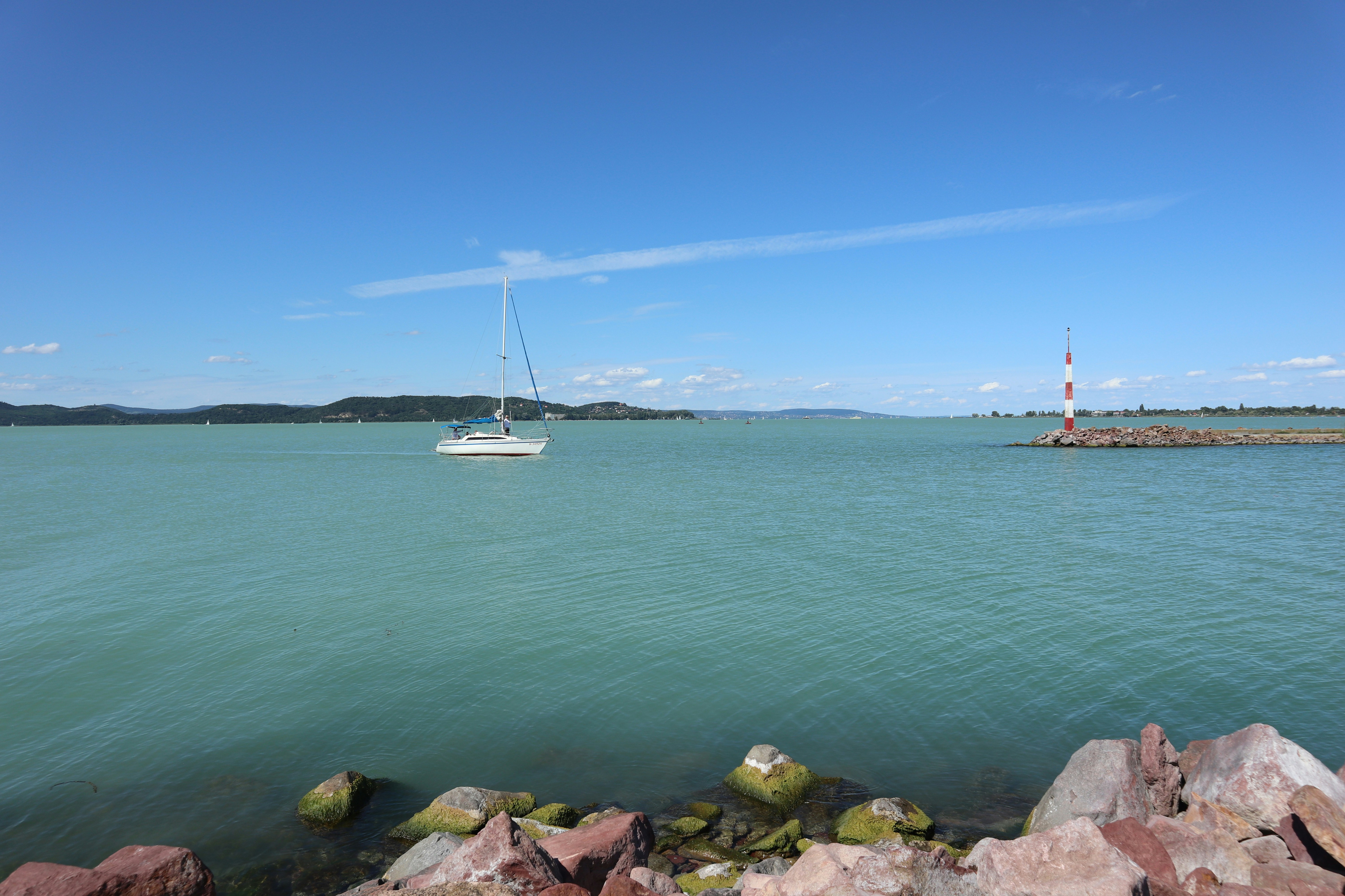 Photo by balint_miko