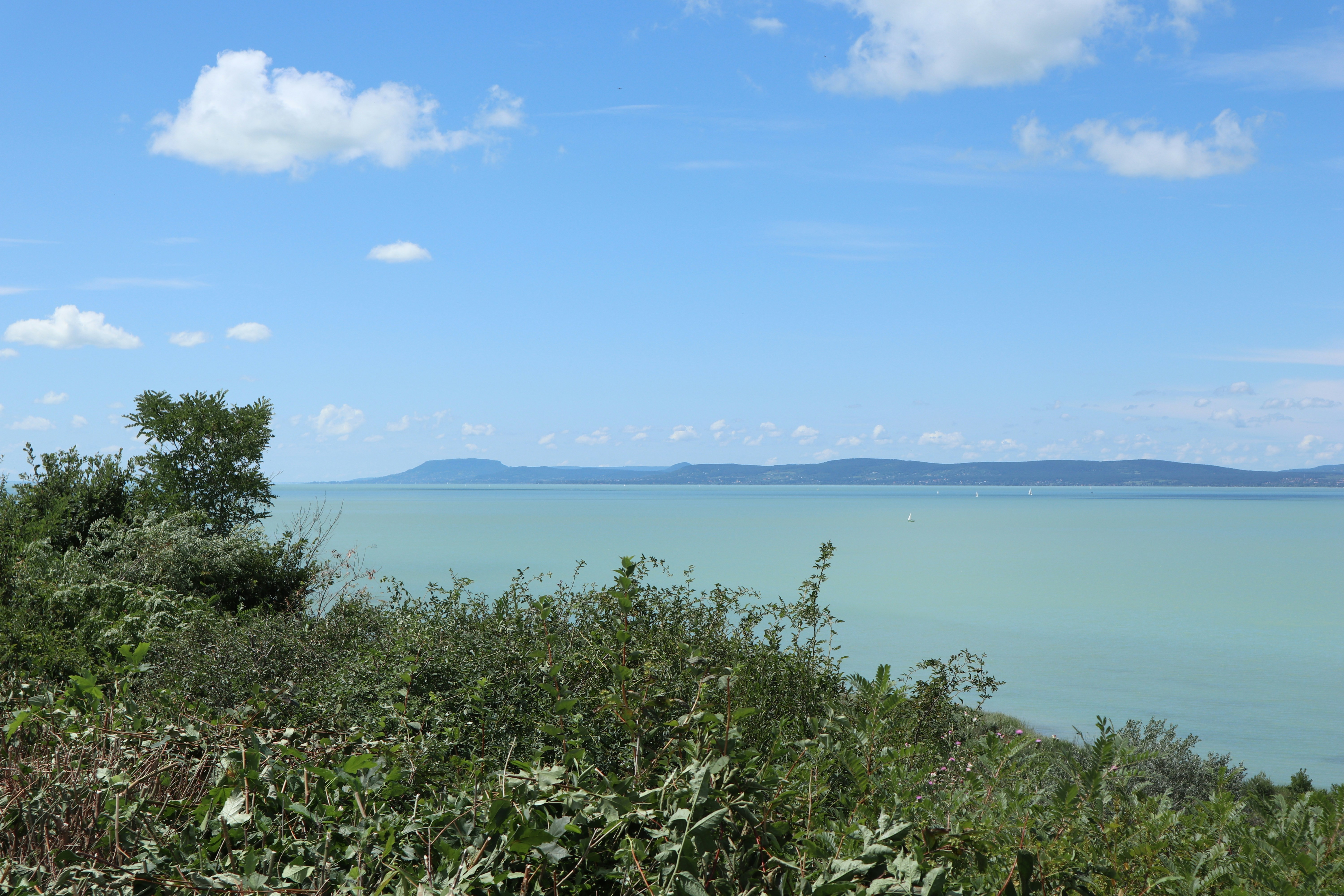 Photo by balint_miko