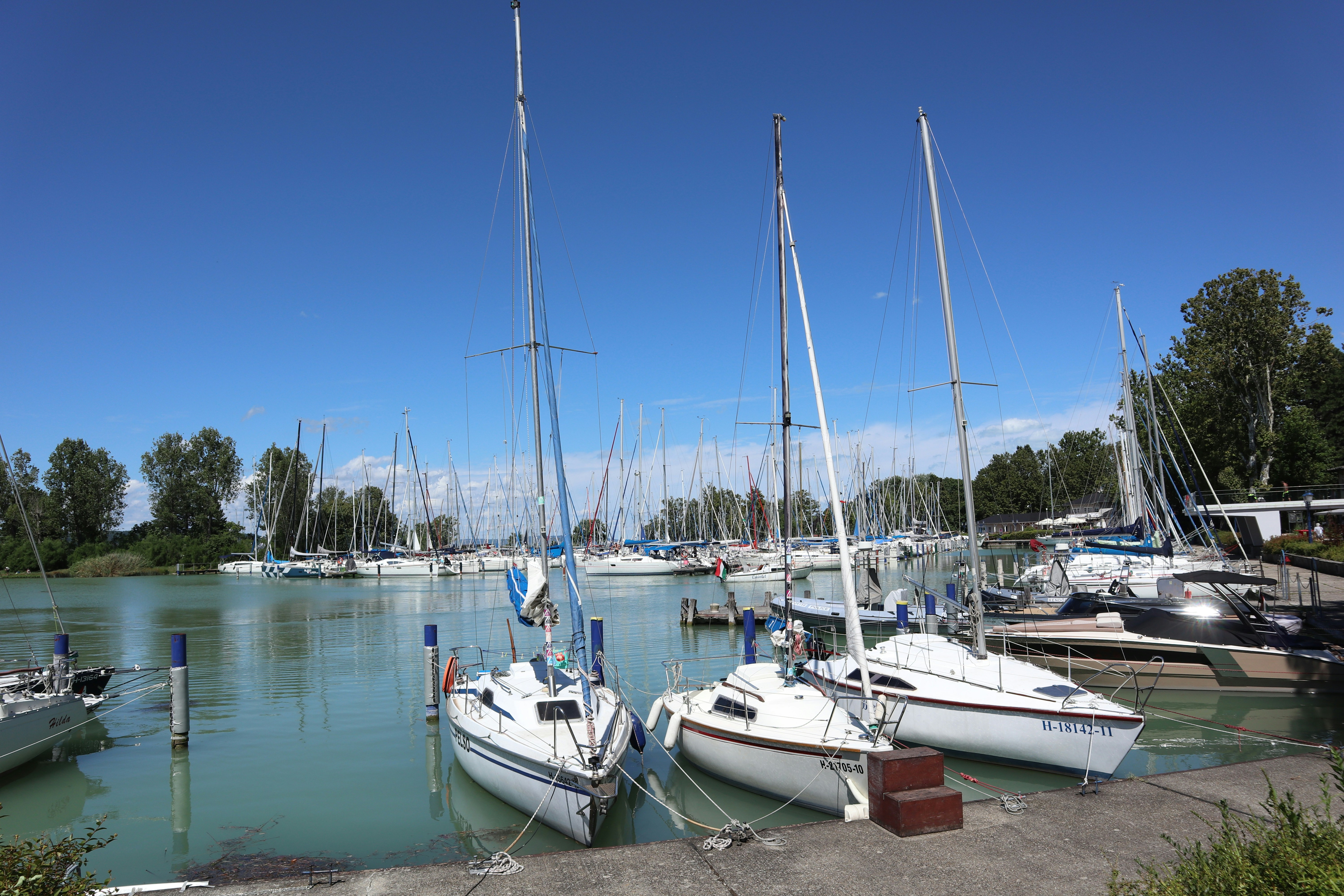 Photo by balint_miko