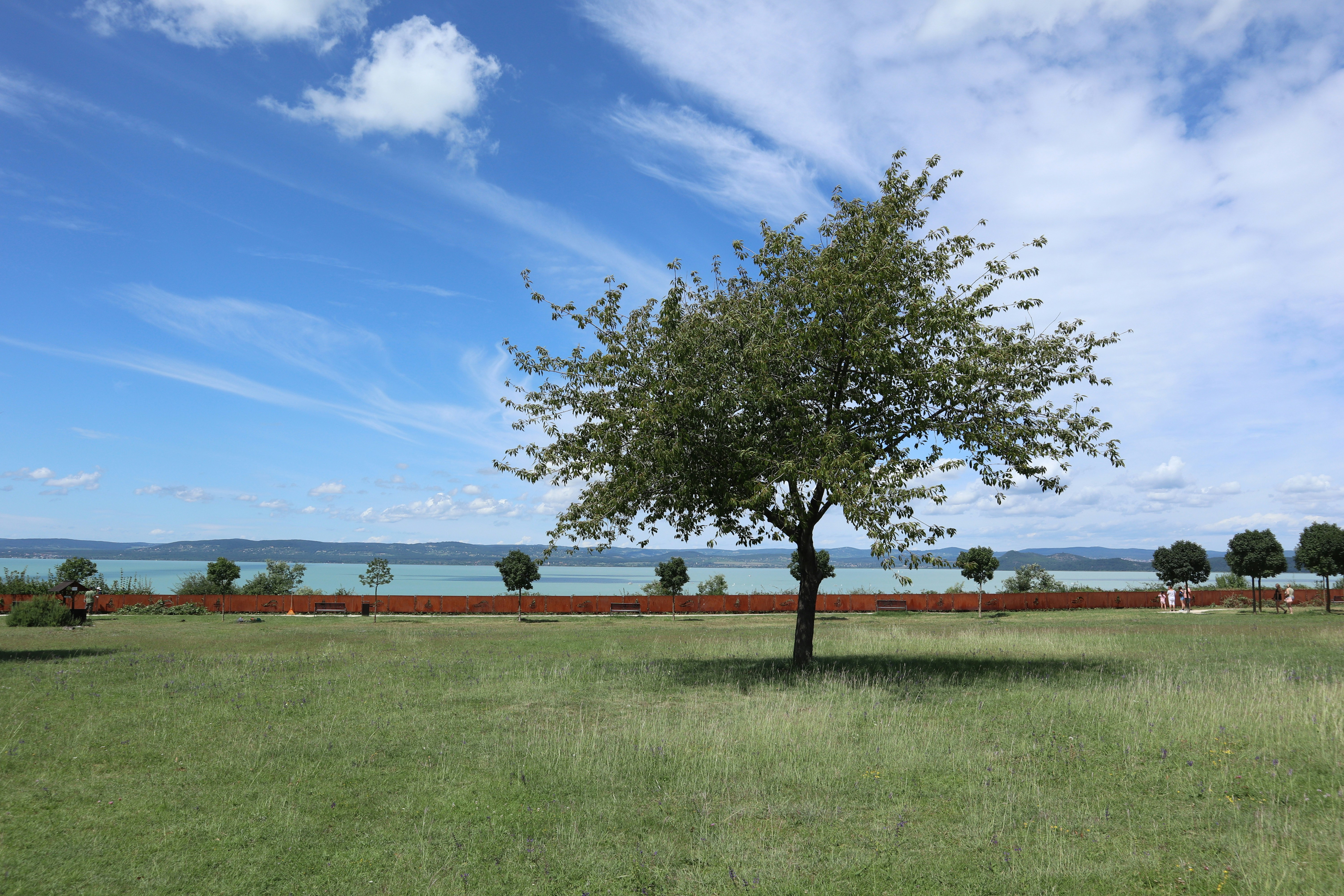 Photo by balint_miko