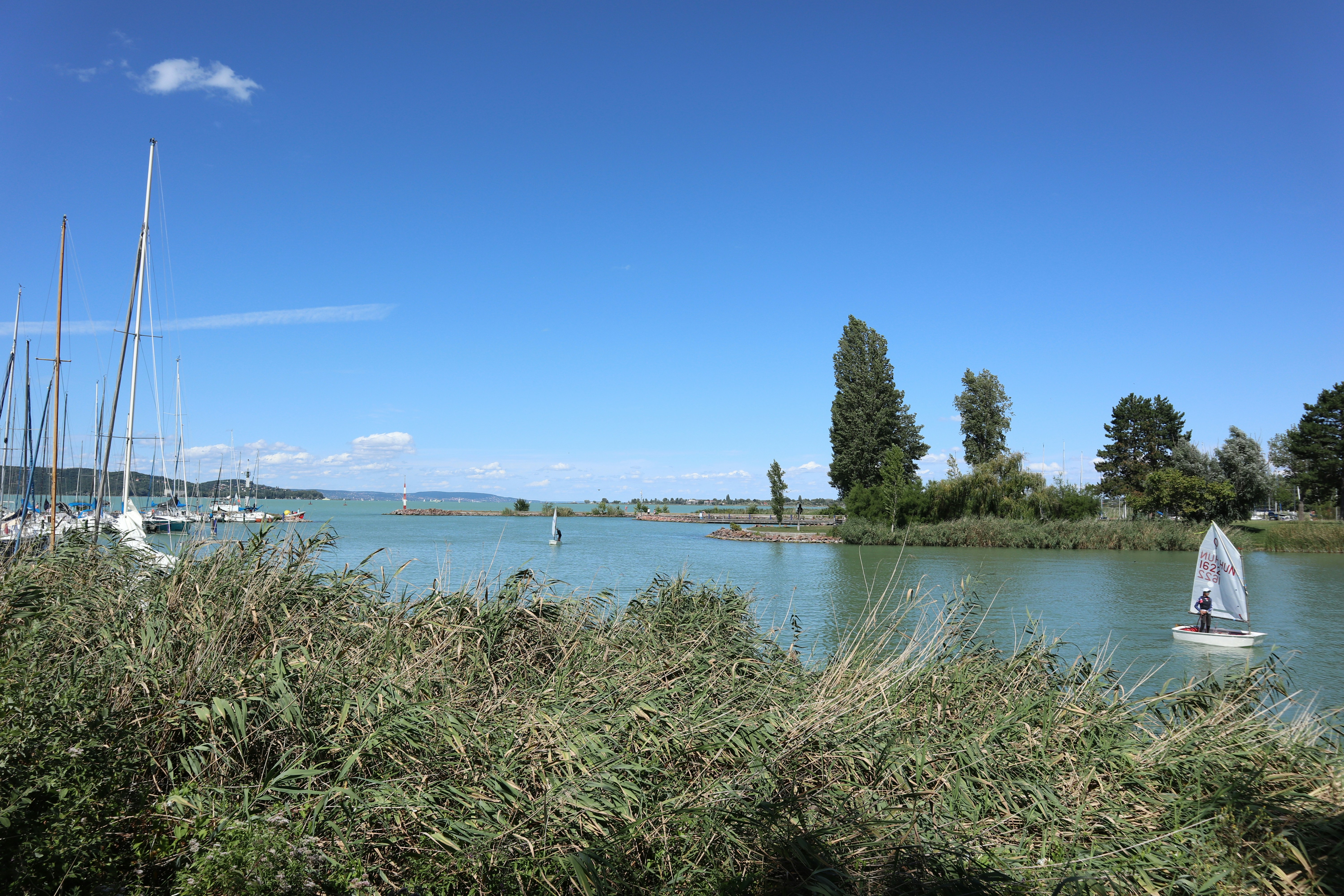 Photo by balint_miko