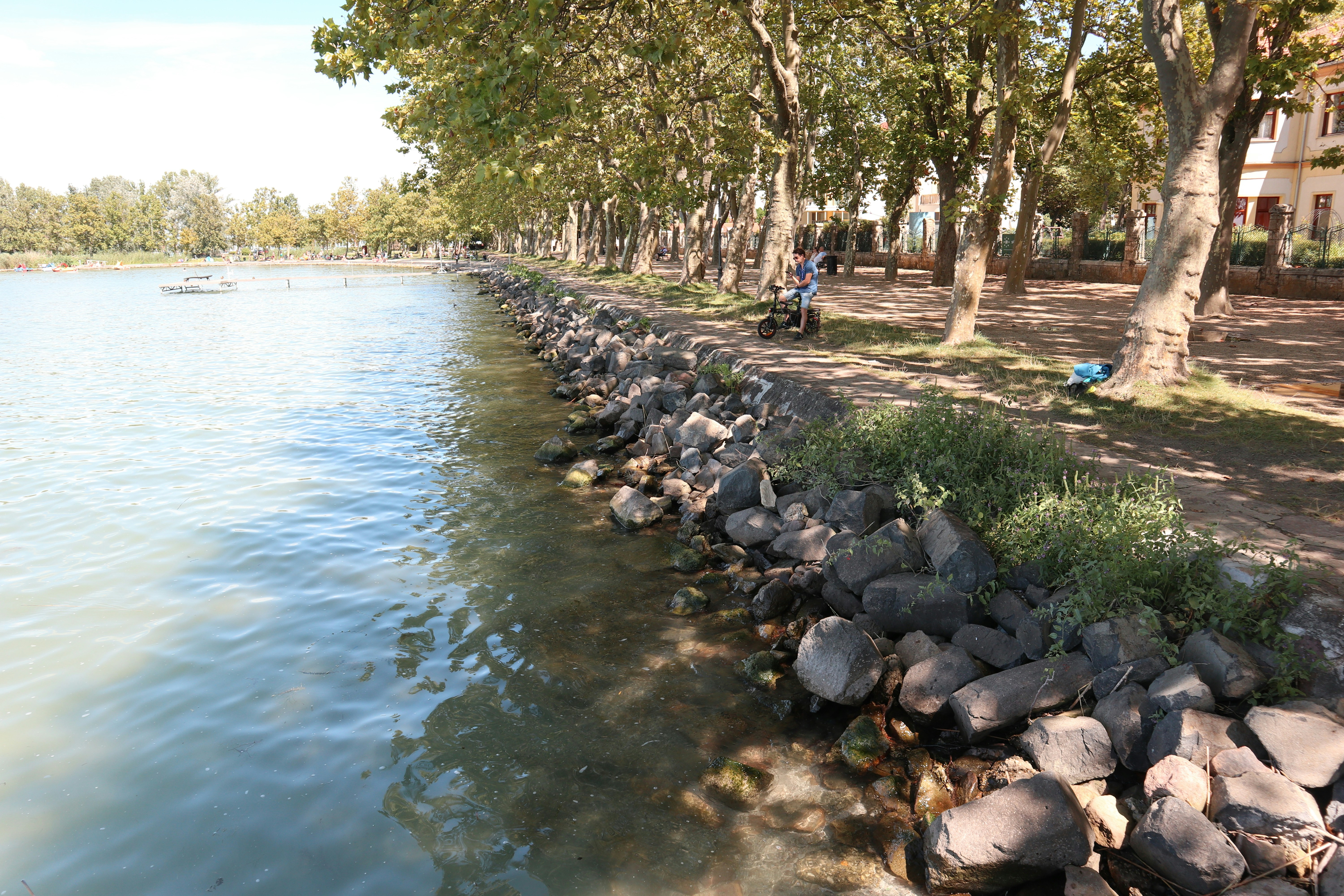 A body of water surrounded by trees and rocks, 