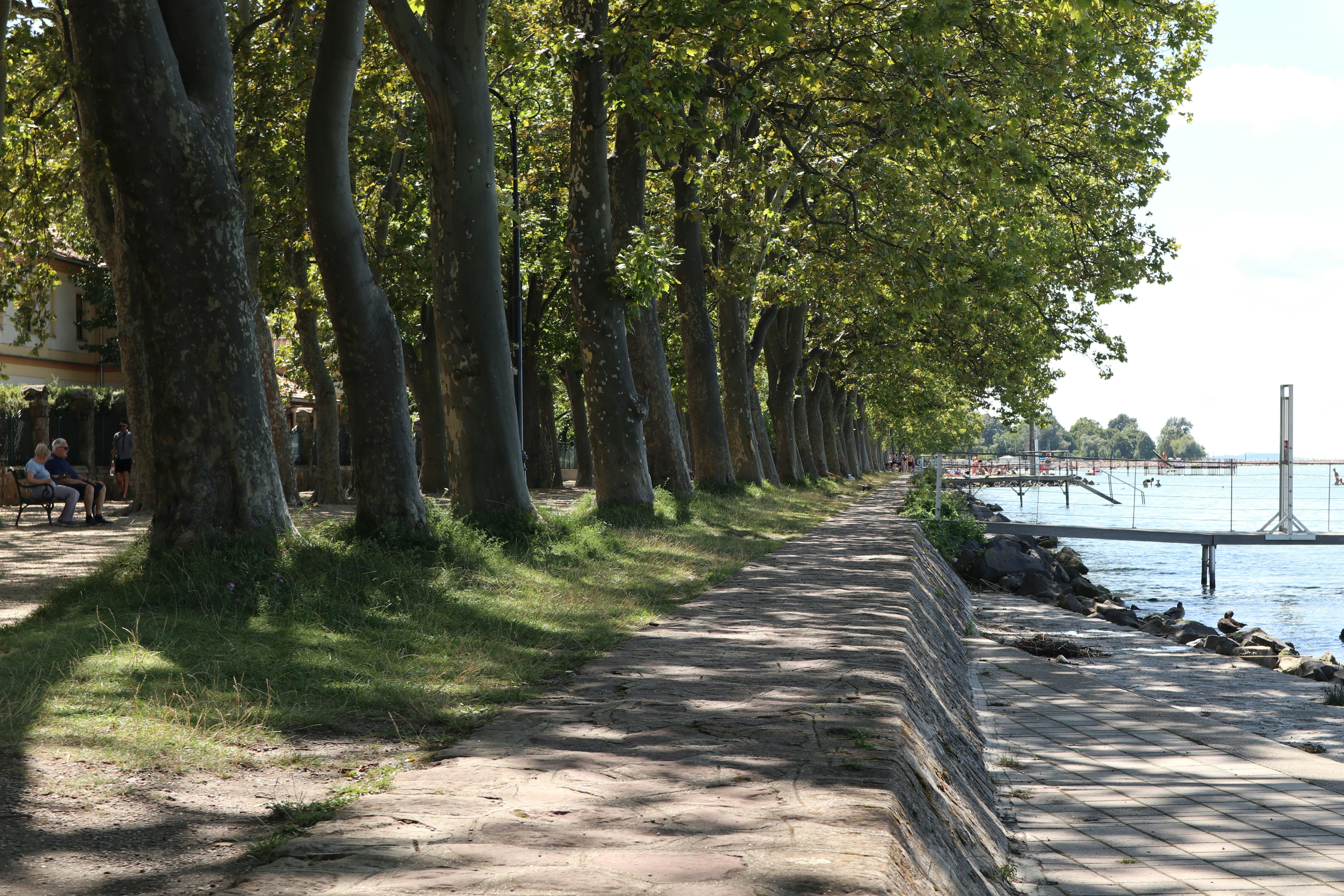 Photo by balint_miko