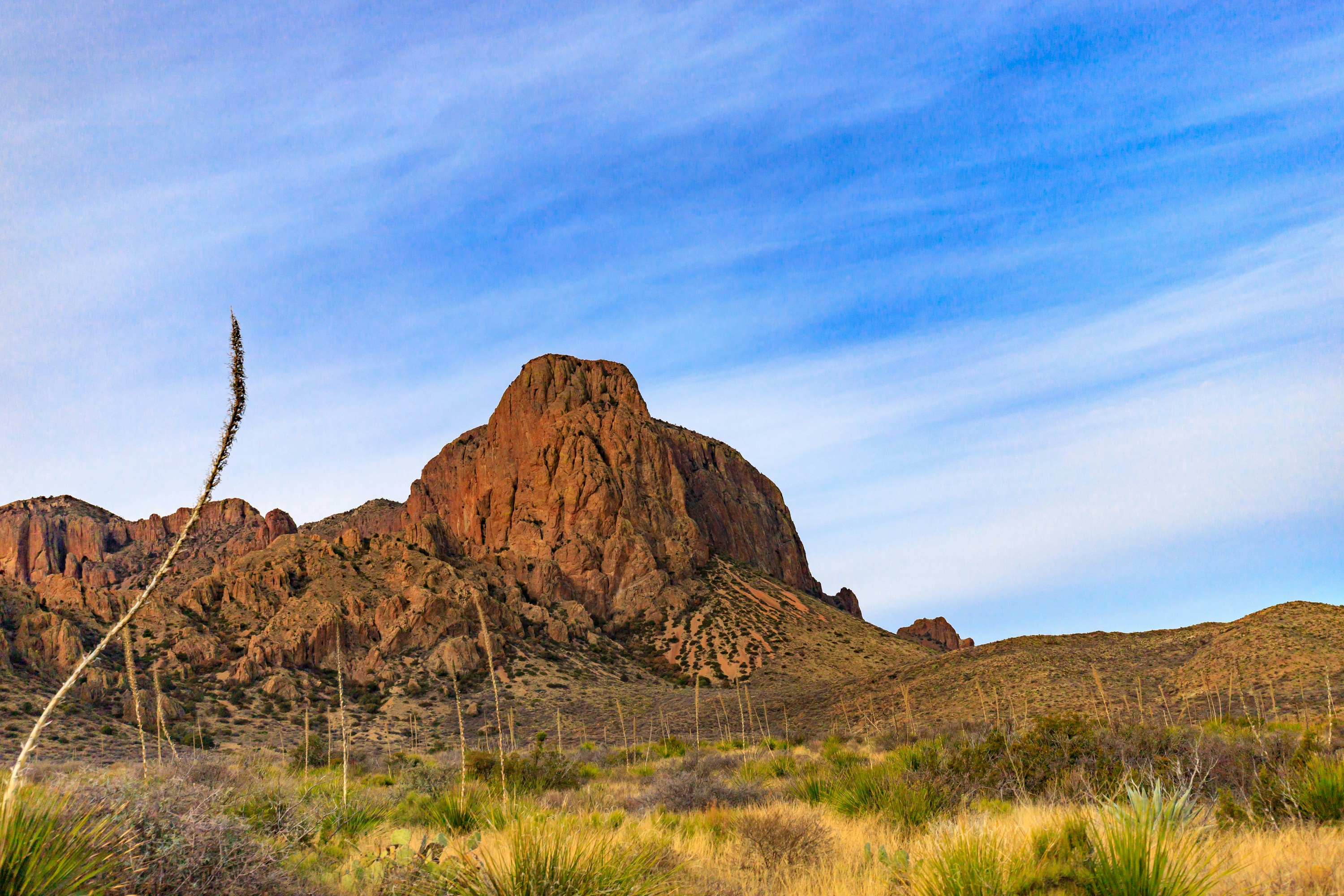 Photo by thirdcoastdad