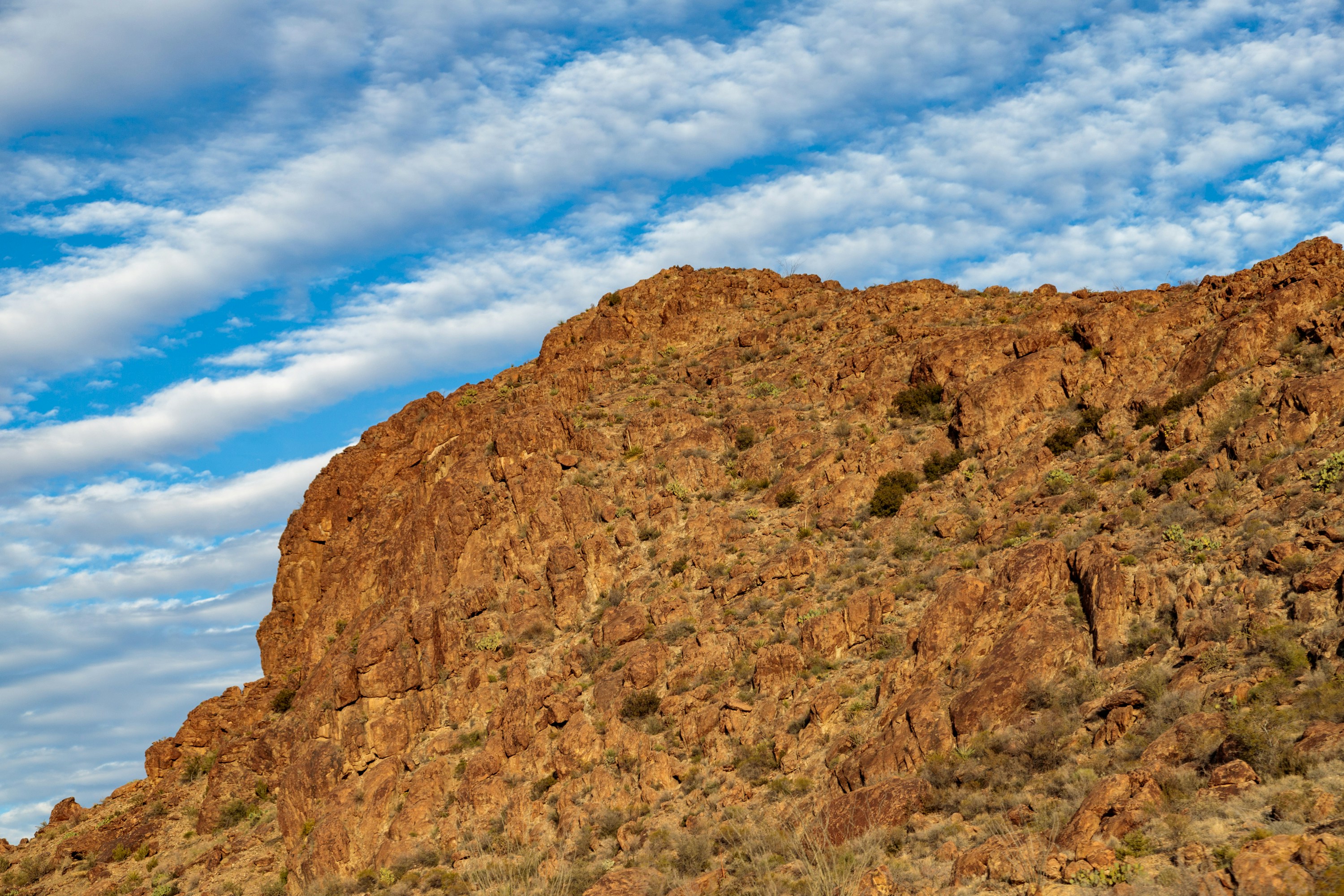 Photo by thirdcoastdad