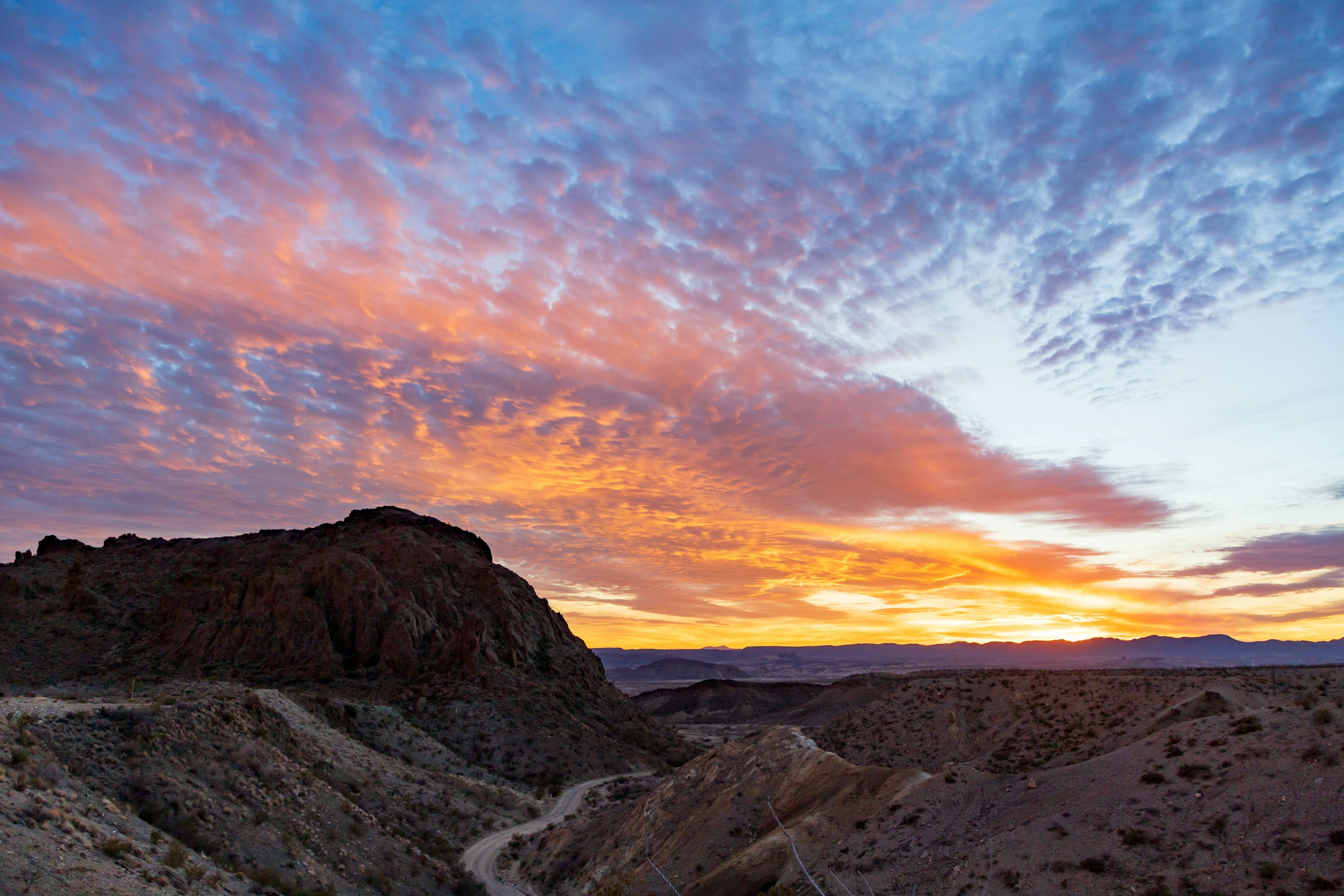 Photo by thirdcoastdad