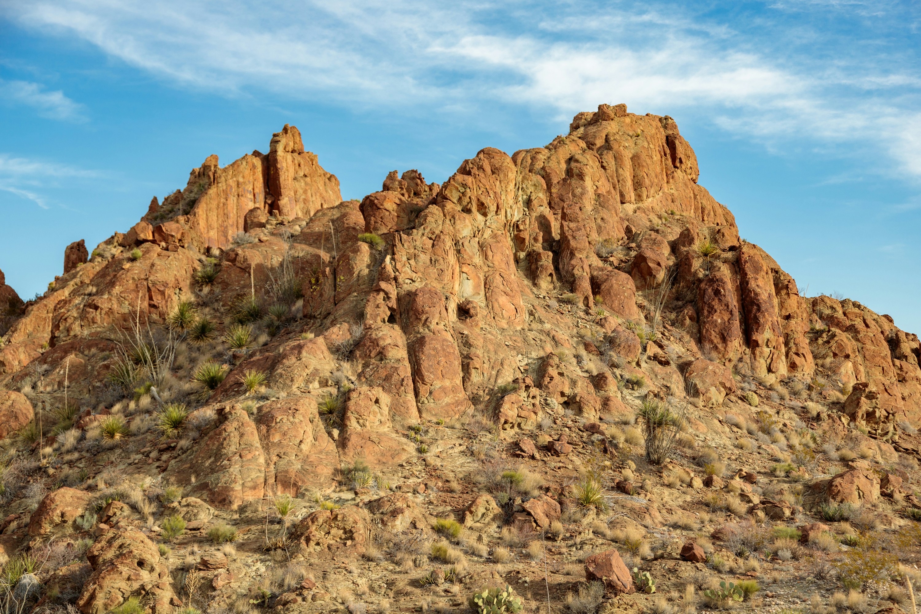 Photo by thirdcoastdad