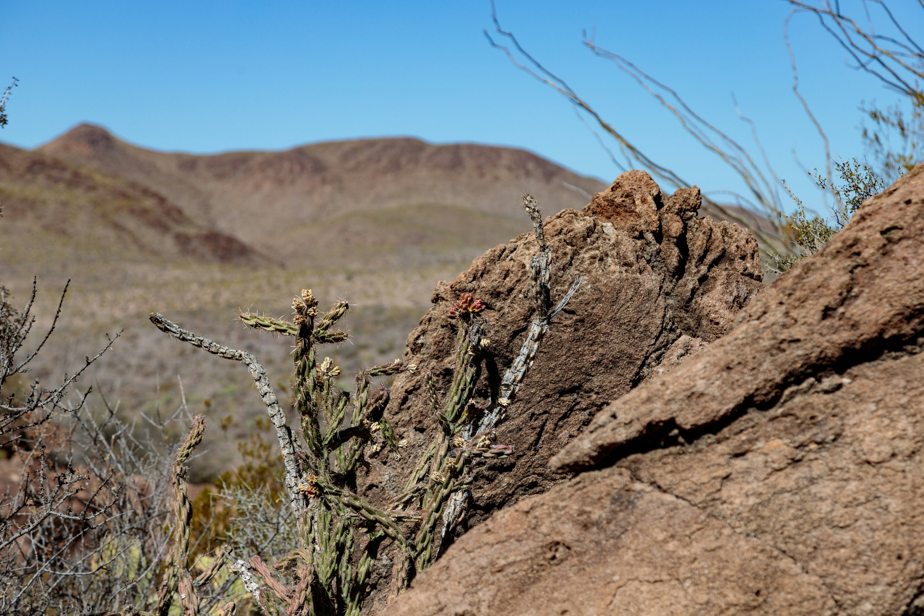 Photo by thirdcoastdad