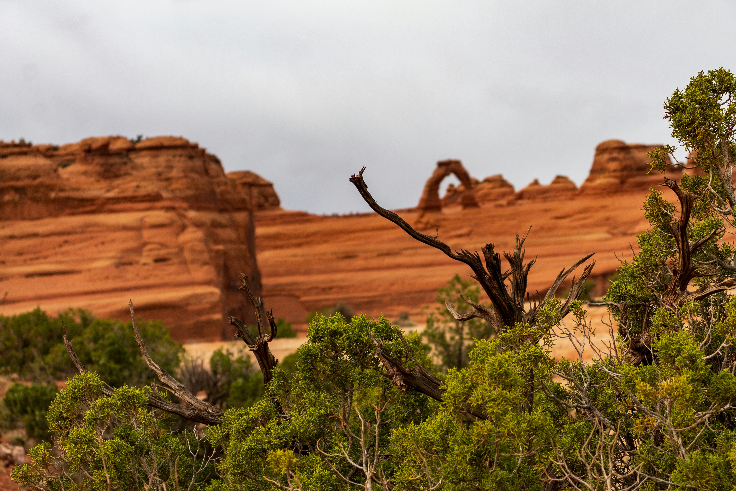 Photo by thirdcoastdad