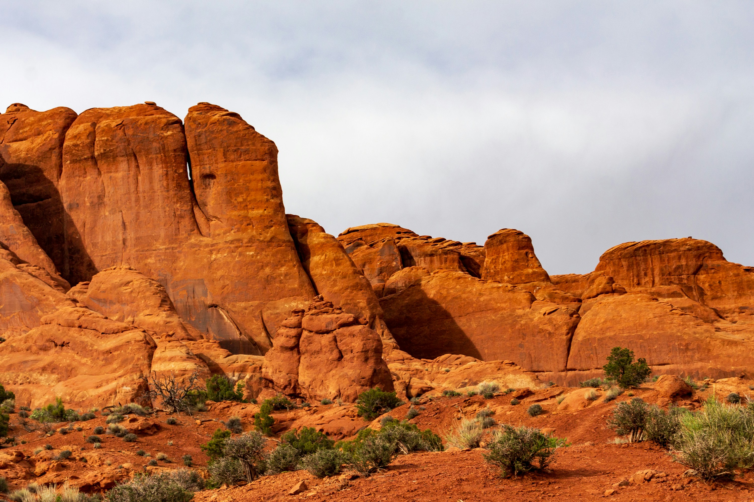 Photo by thirdcoastdad