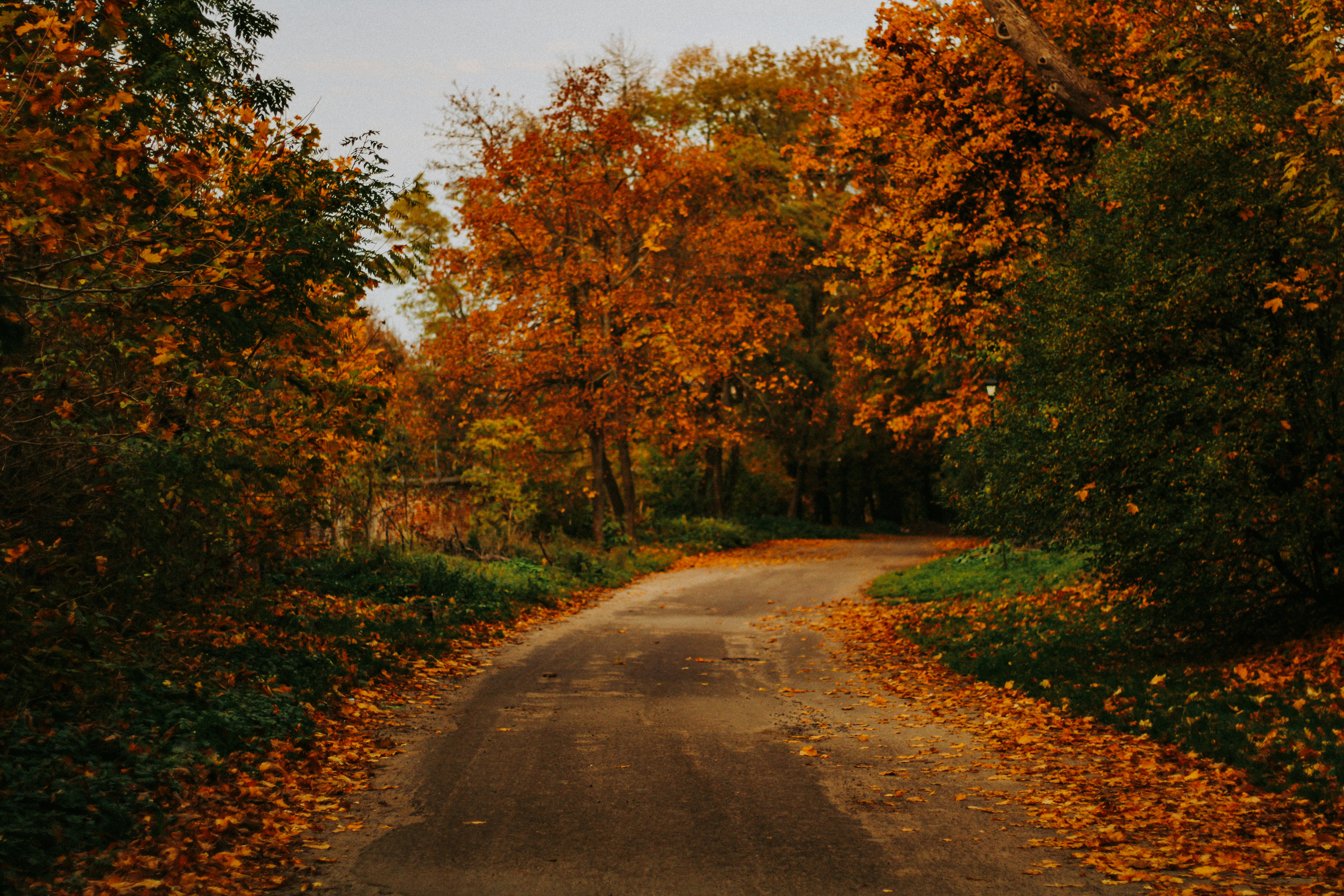 Photo by mineral_of_demon