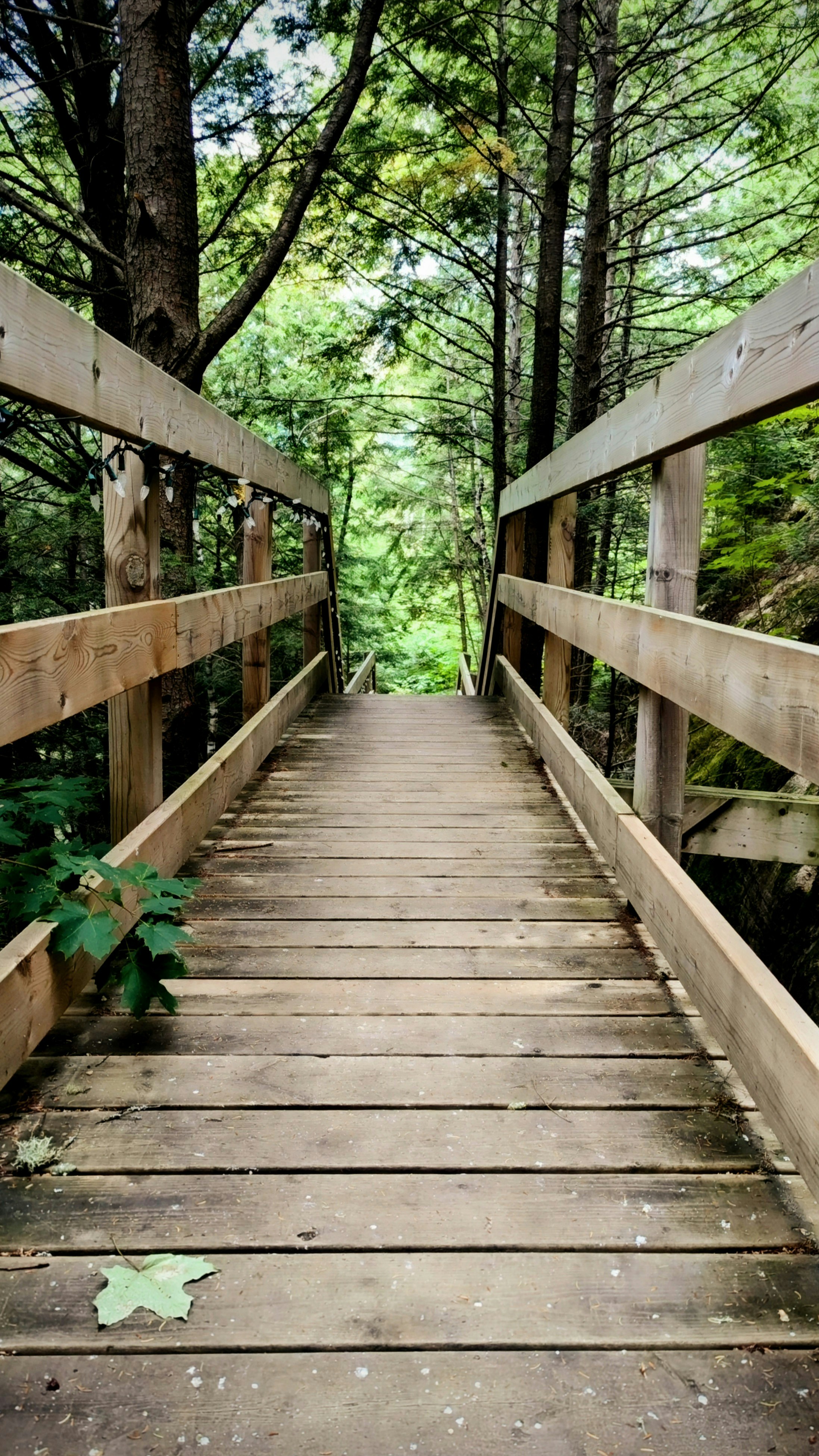 Photo by maxthespoon