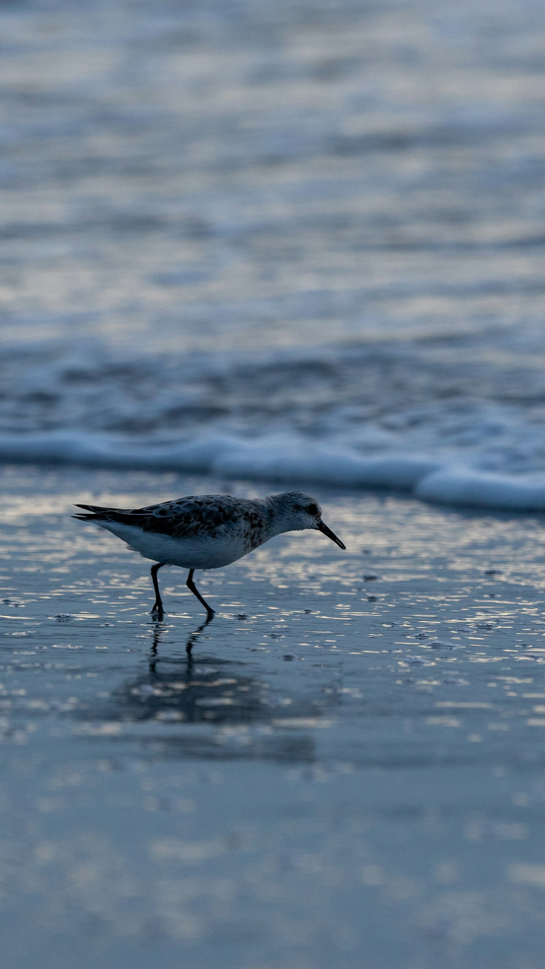 Photo by oculareuphoria