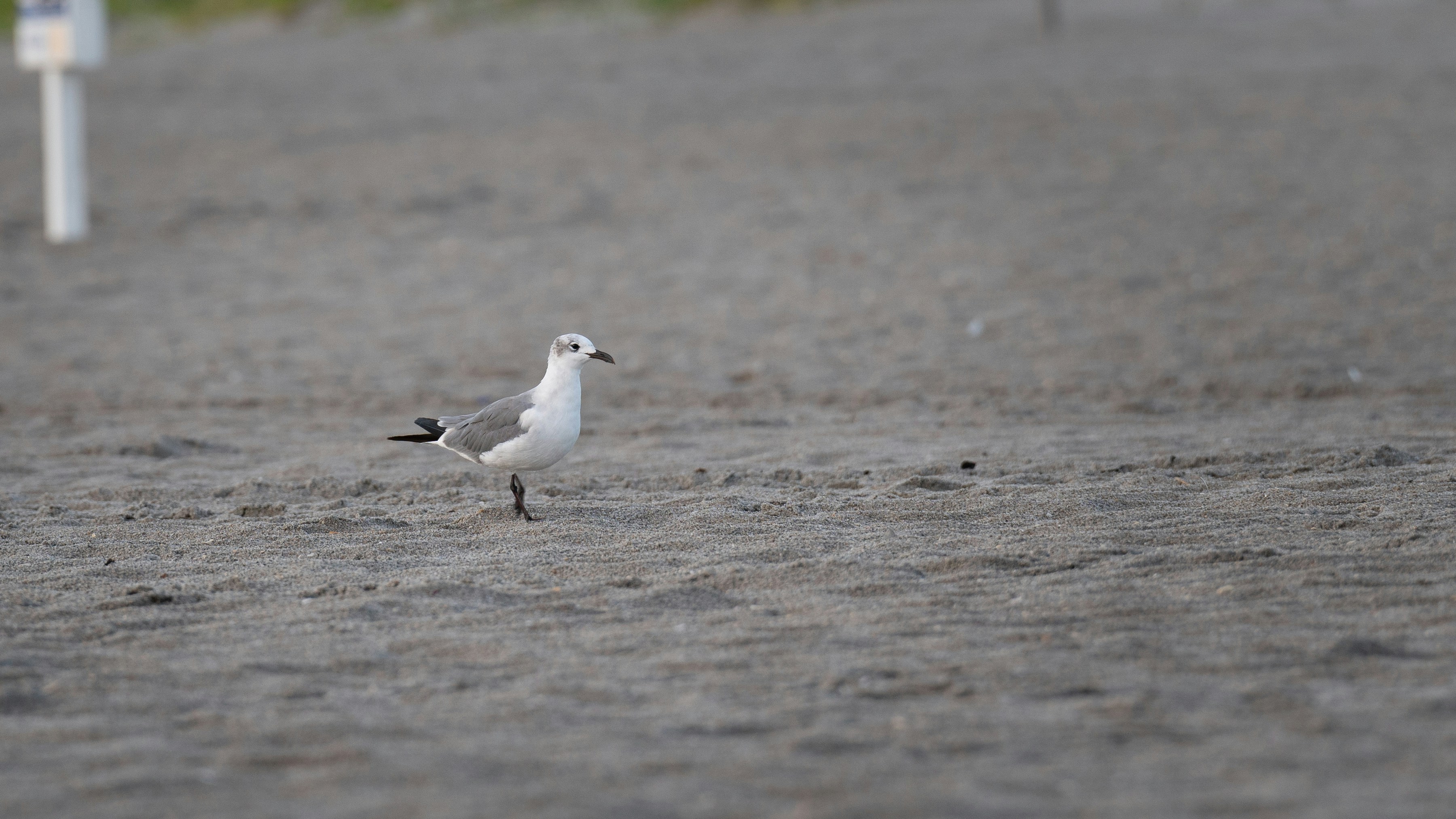 Photo by oculareuphoria