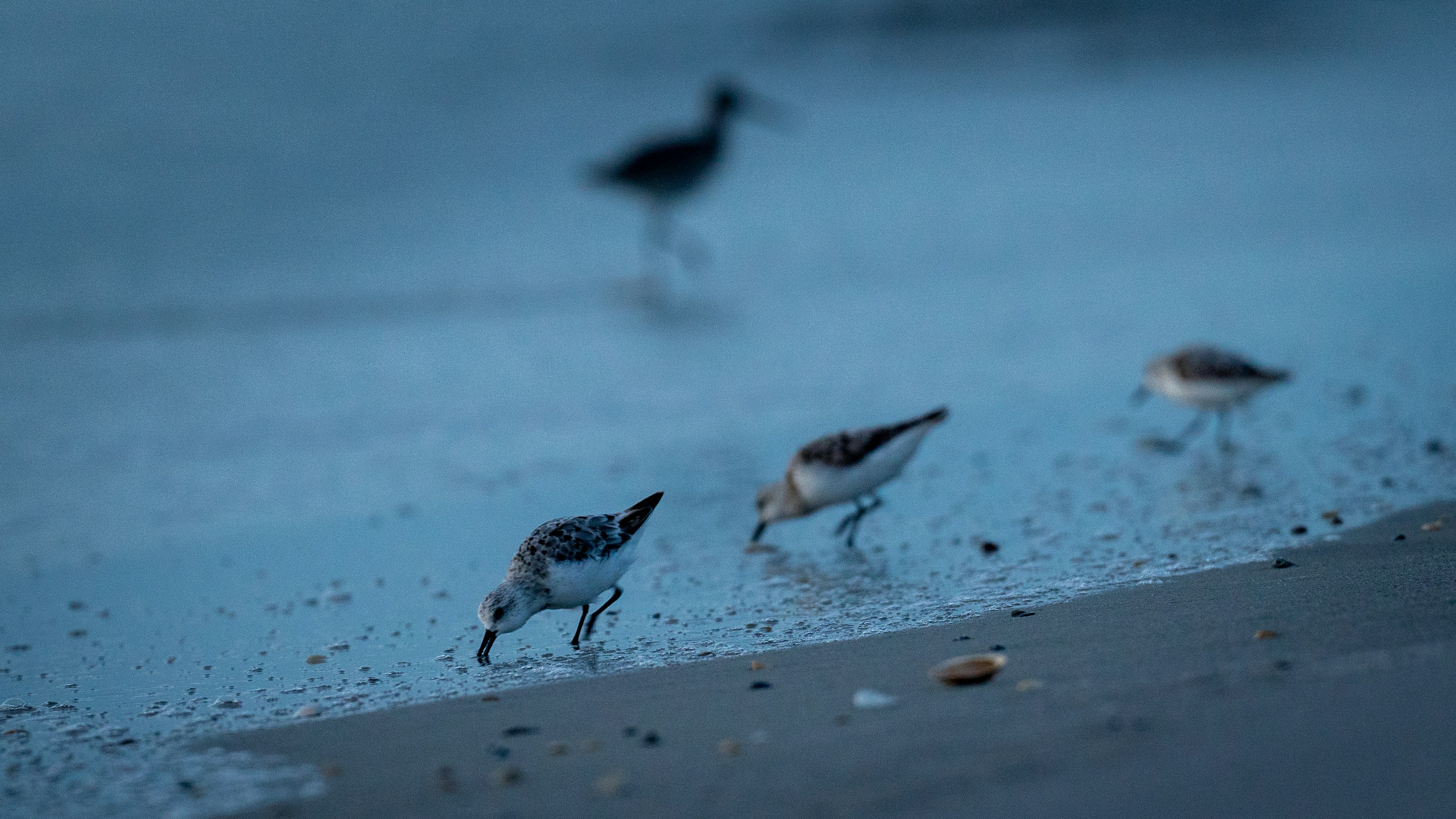 Photo by oculareuphoria