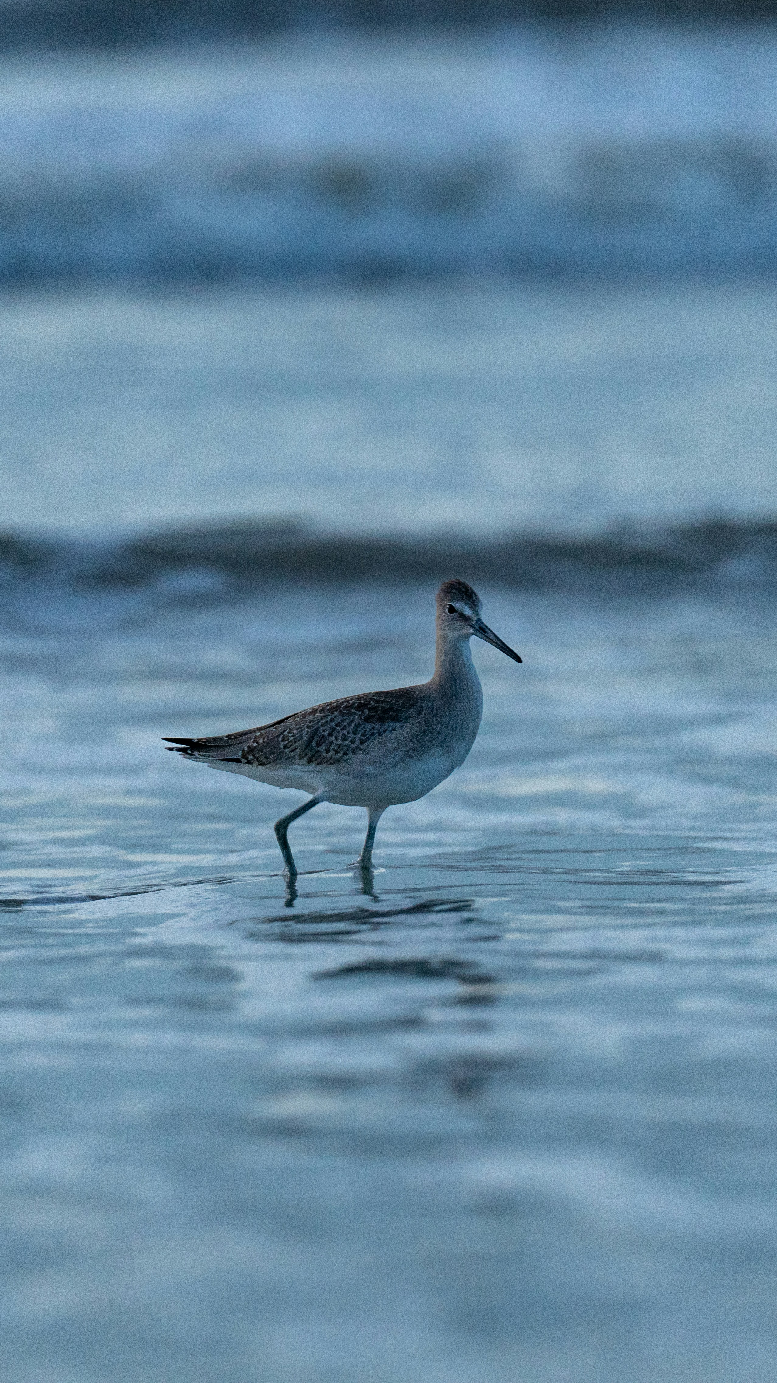 Photo by oculareuphoria