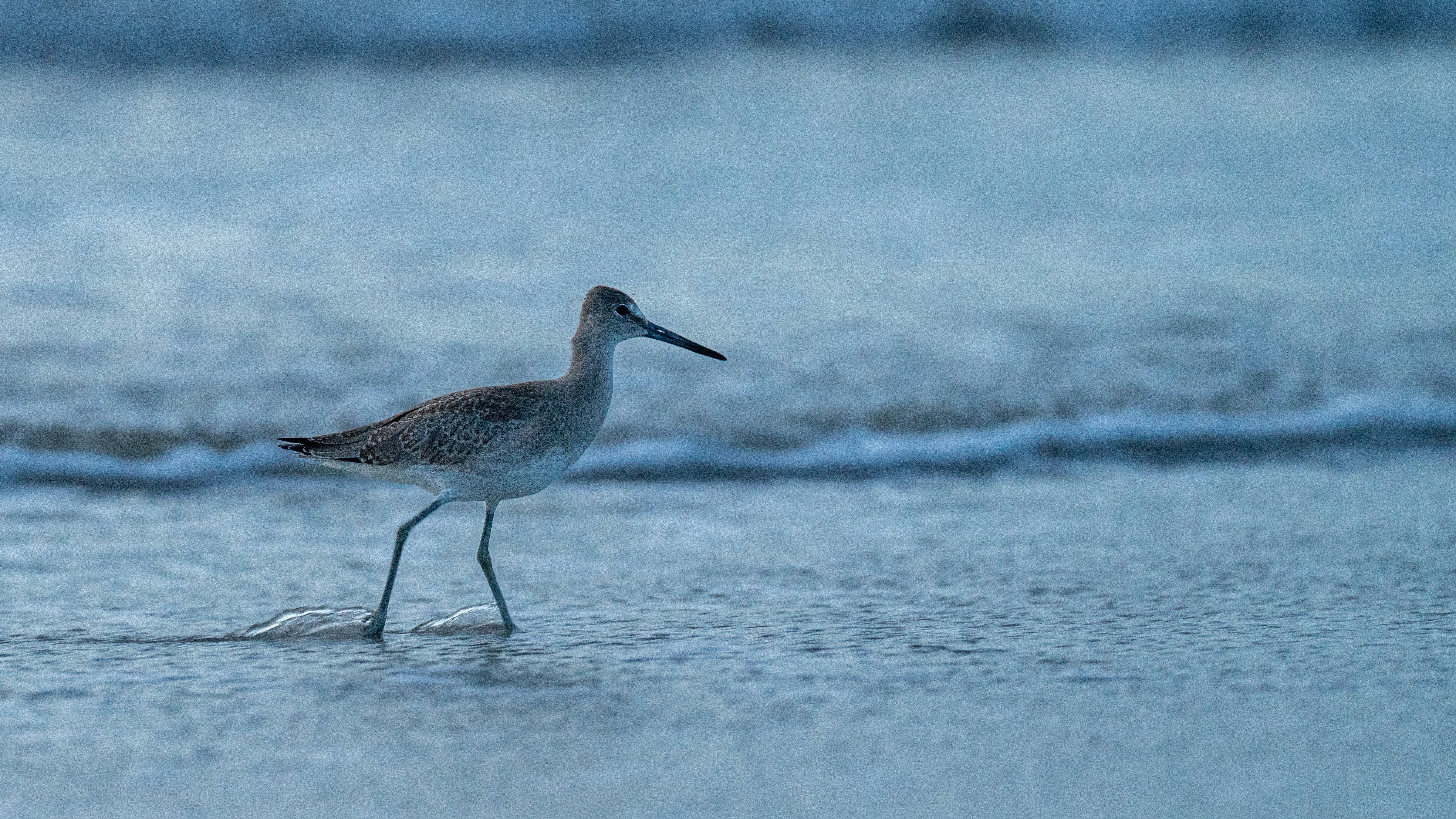 Photo by oculareuphoria