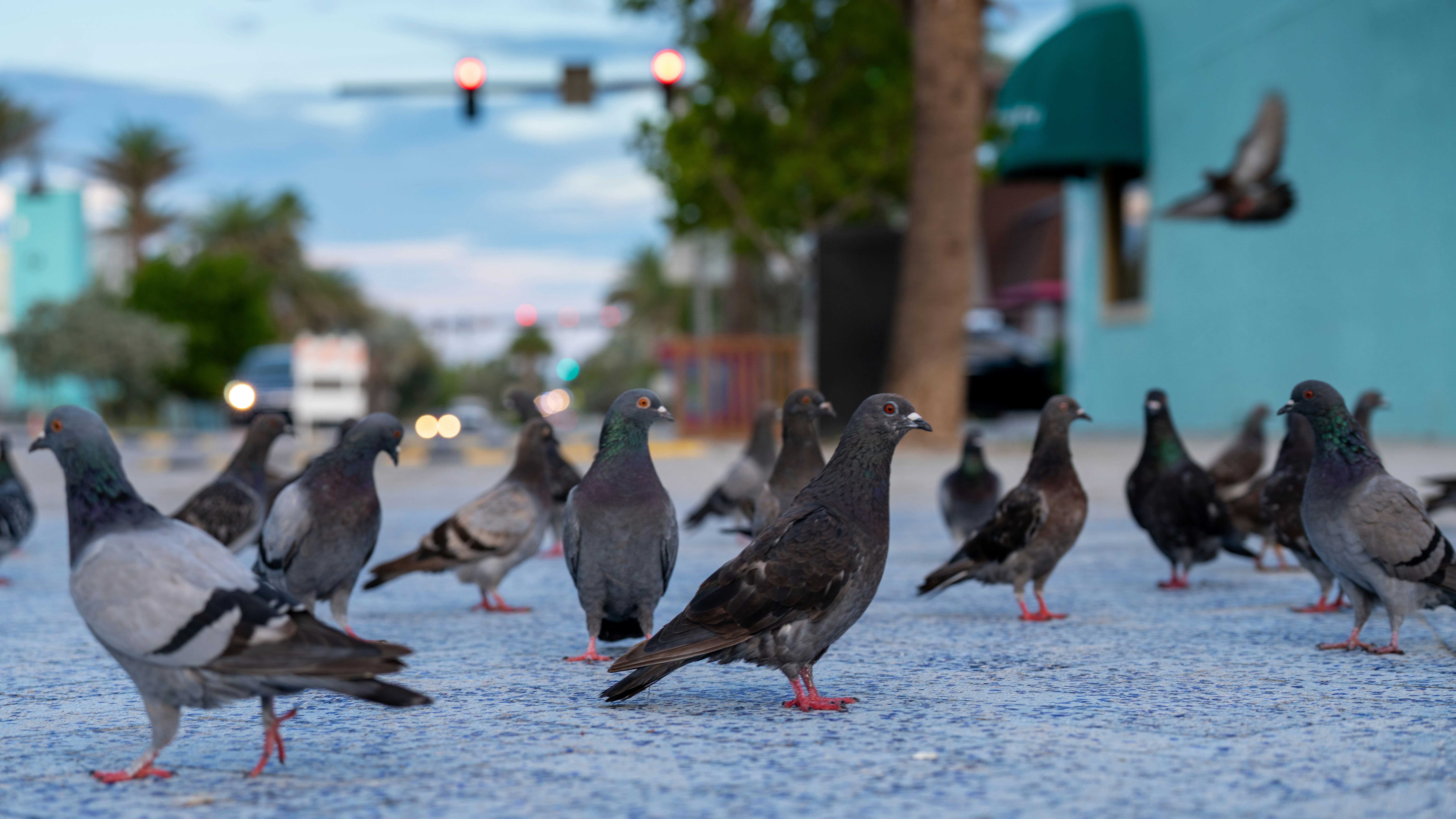 Photo by oculareuphoria