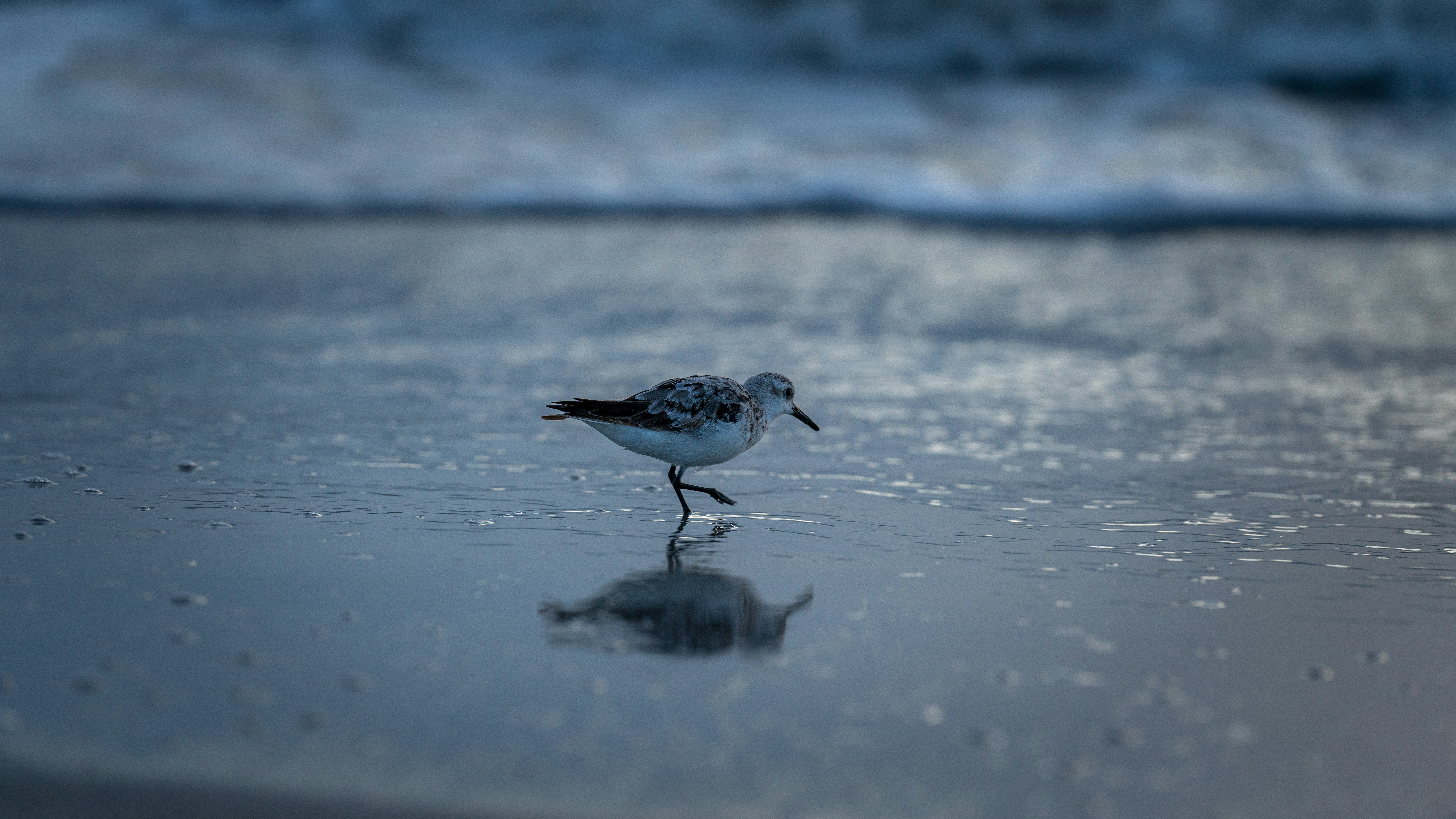 Photo by oculareuphoria