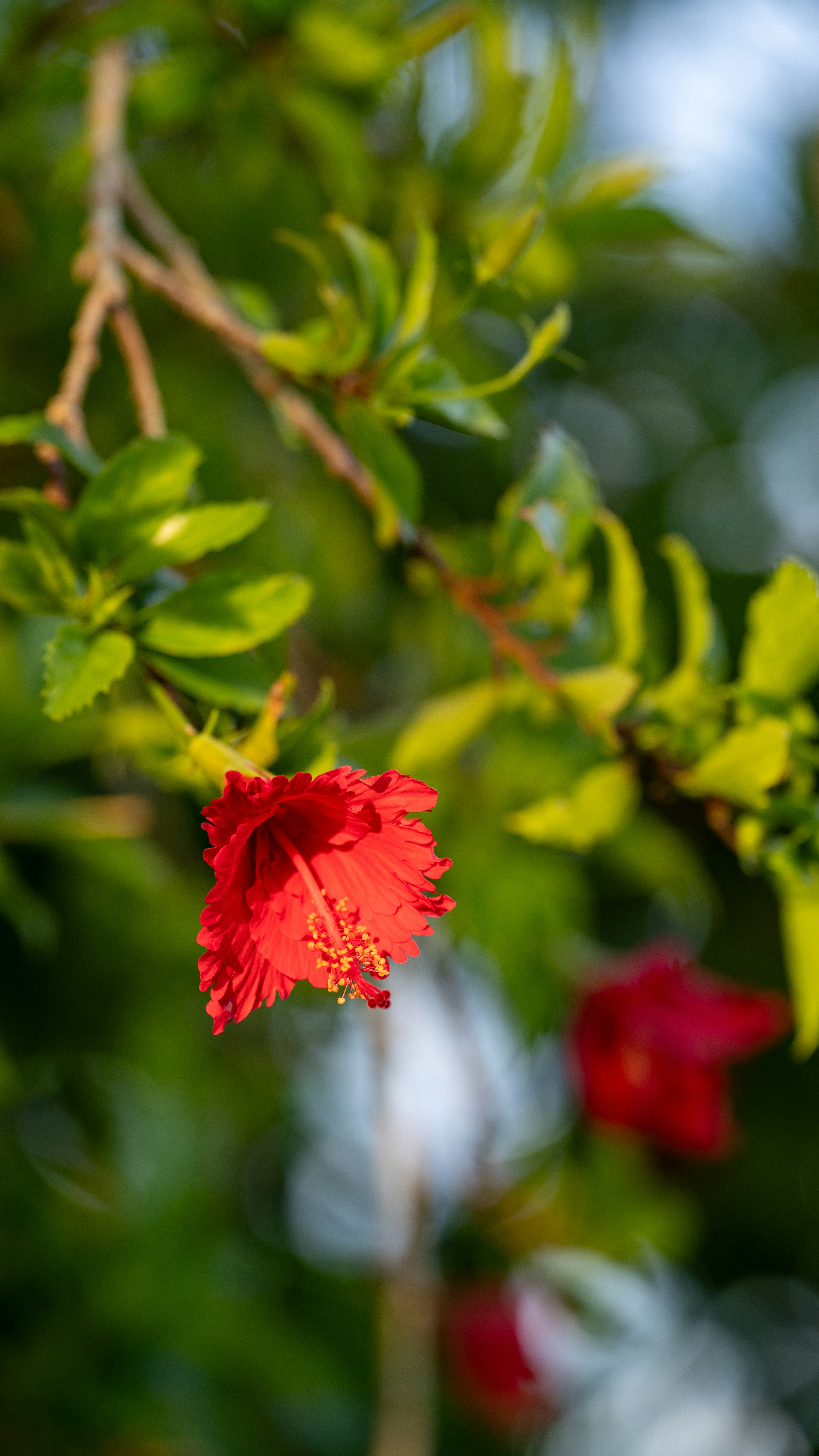 Photo by oculareuphoria