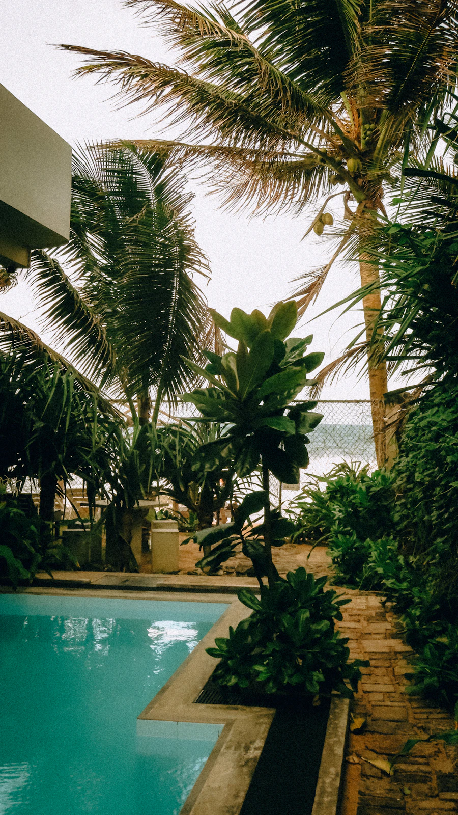 Placeholder — swimming pool surrounded by palms, Hikkaduwa