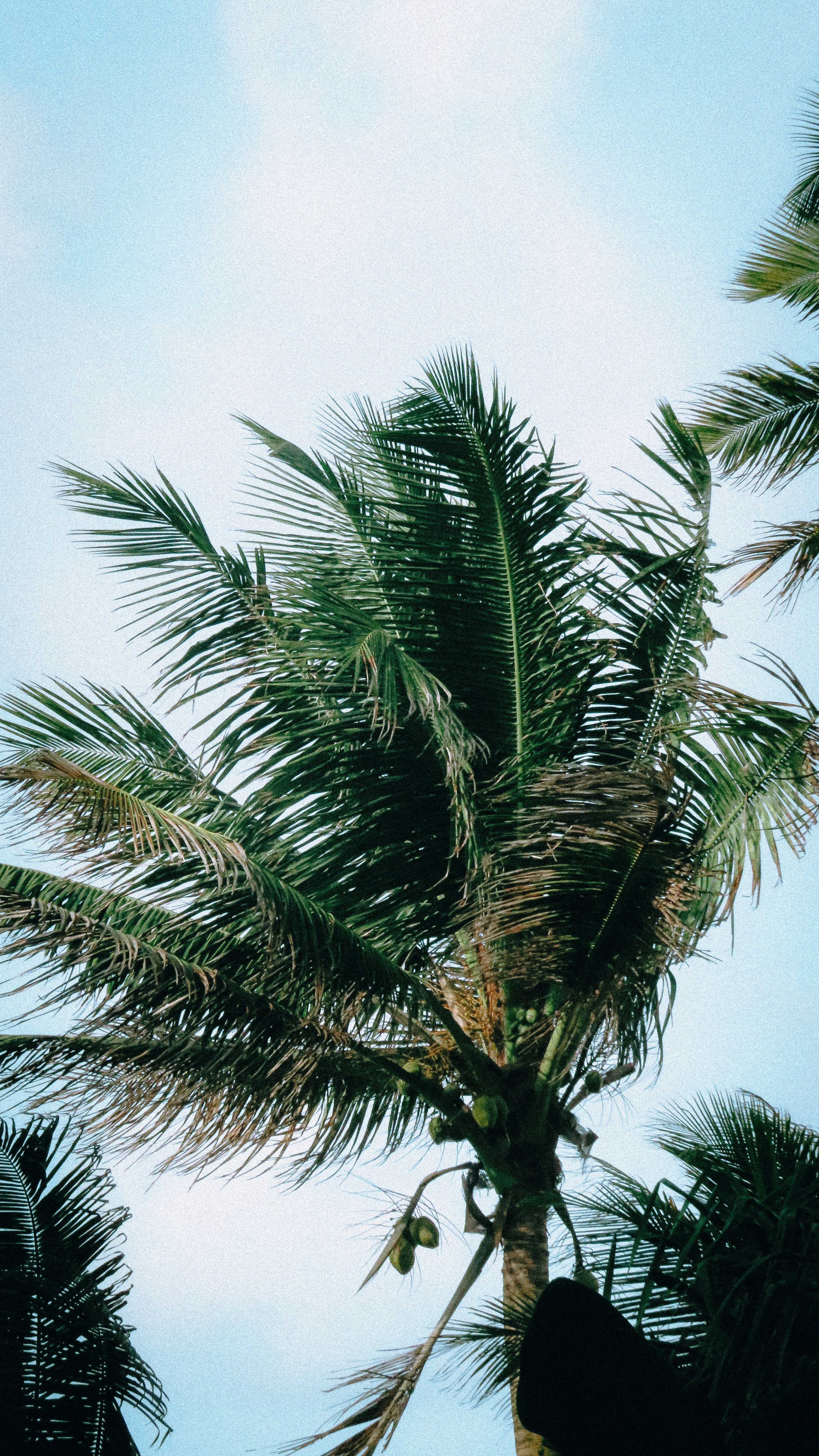 Photo by branislavrodman