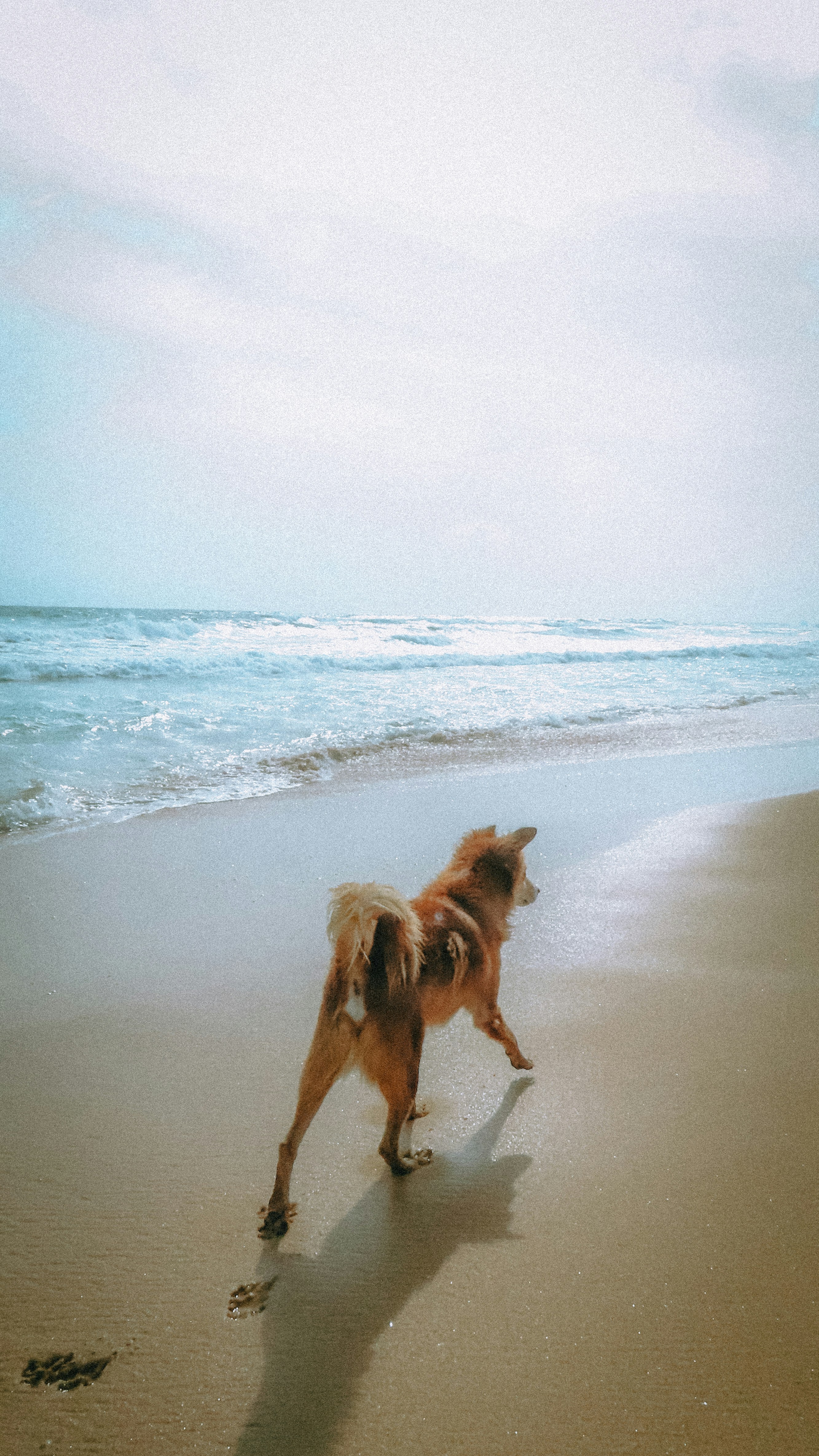 Photo by branislavrodman