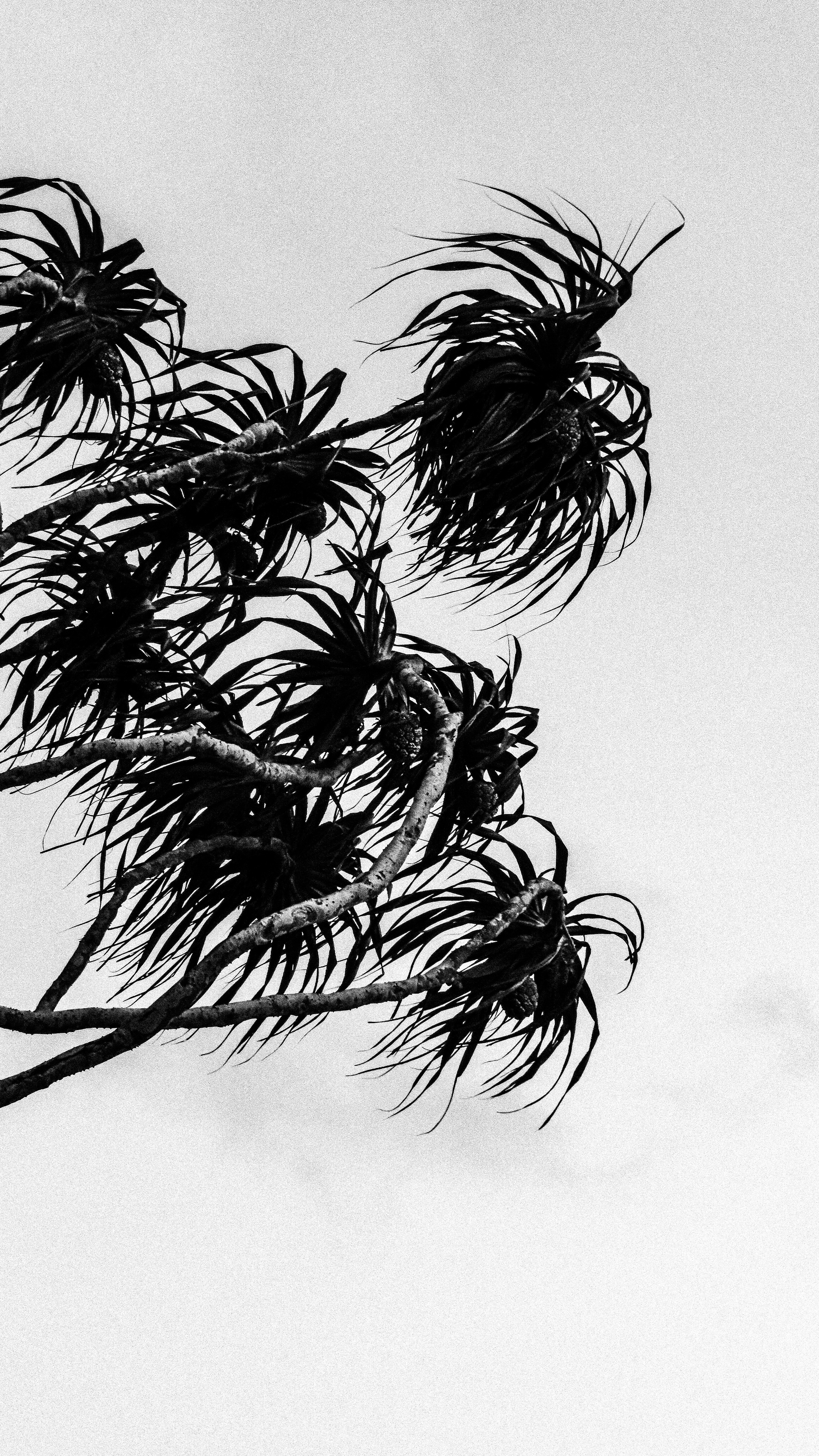 Photo by branislavrodman