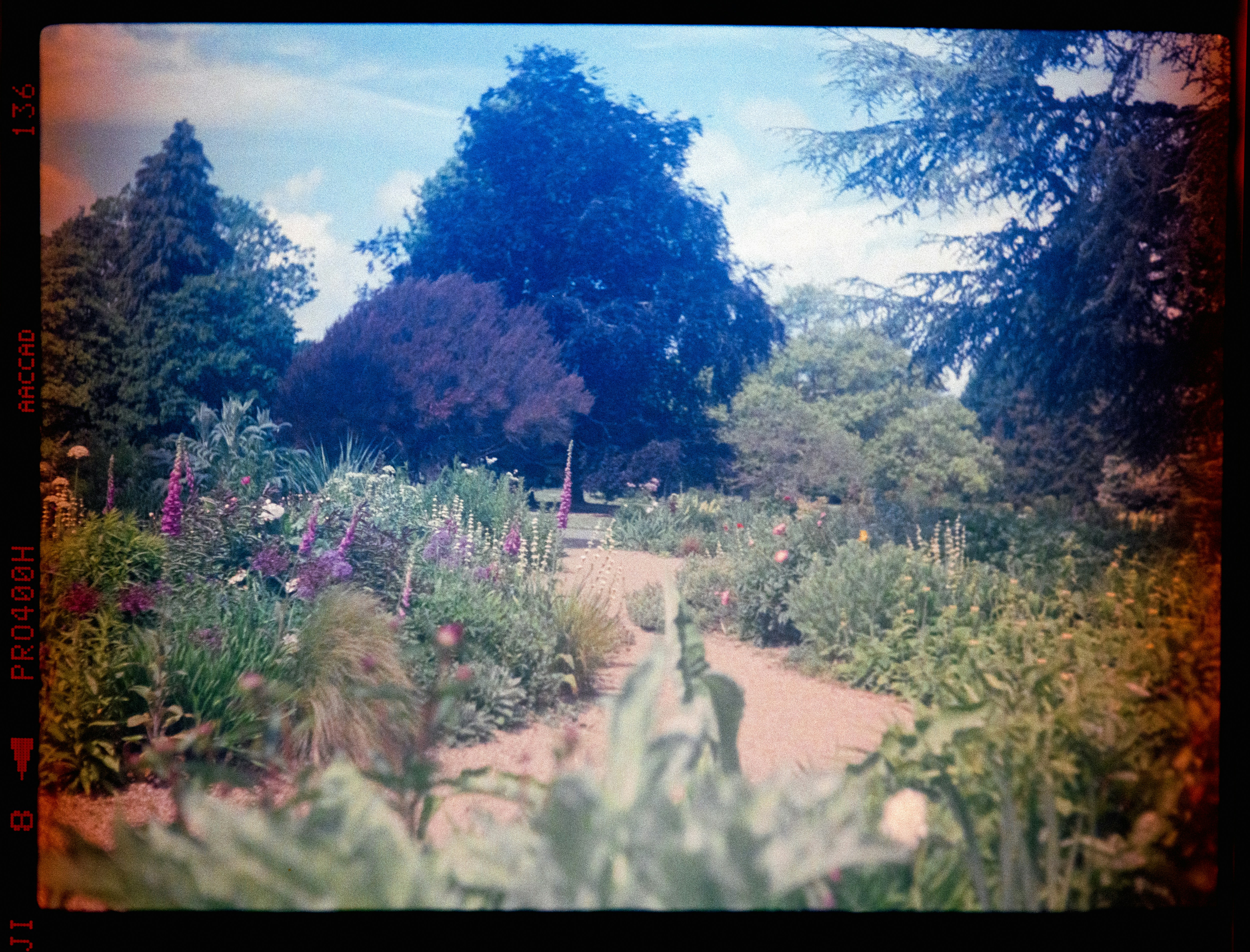 Photo by anniespratt