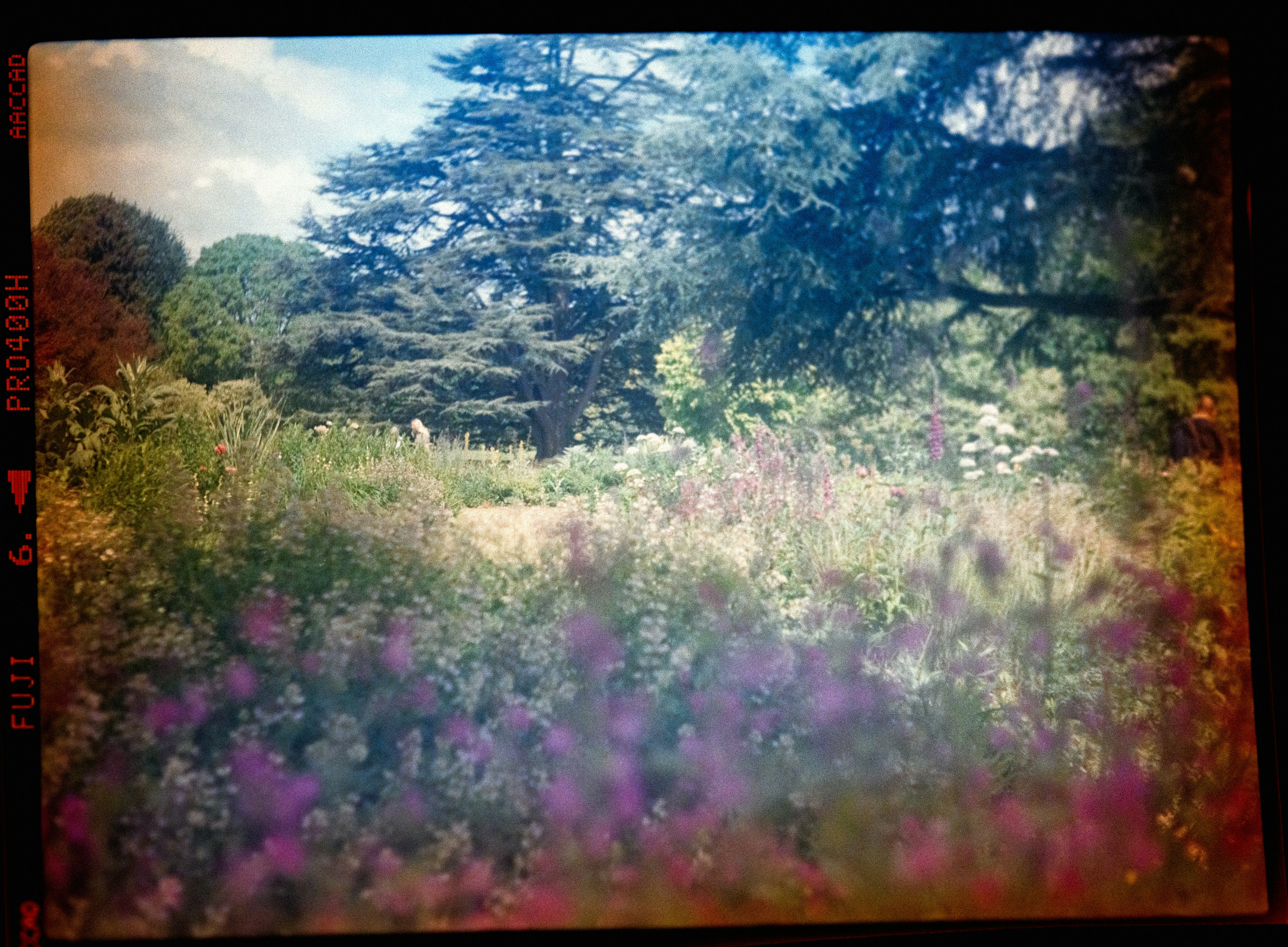 Photo by anniespratt