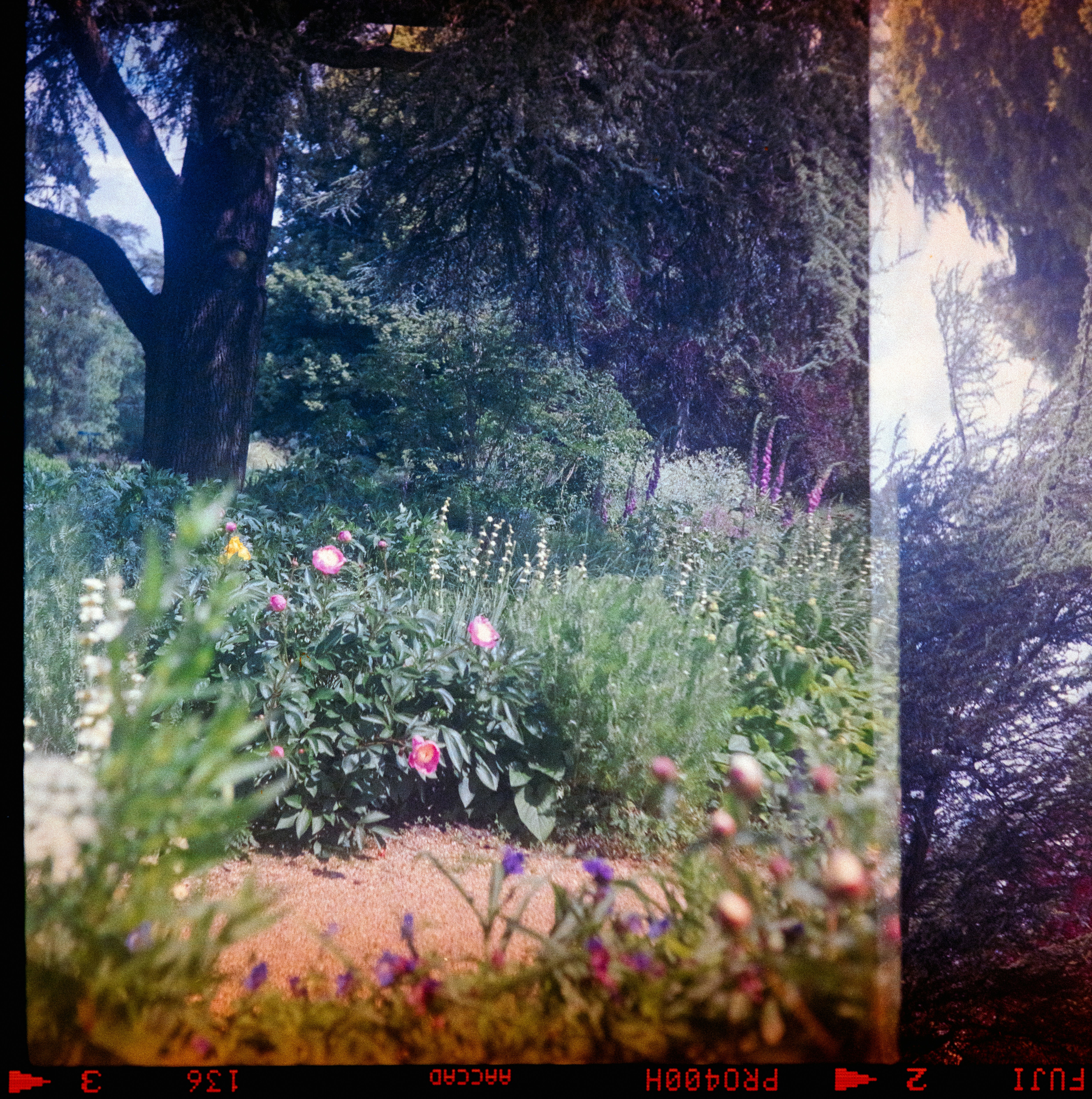 Photo by anniespratt