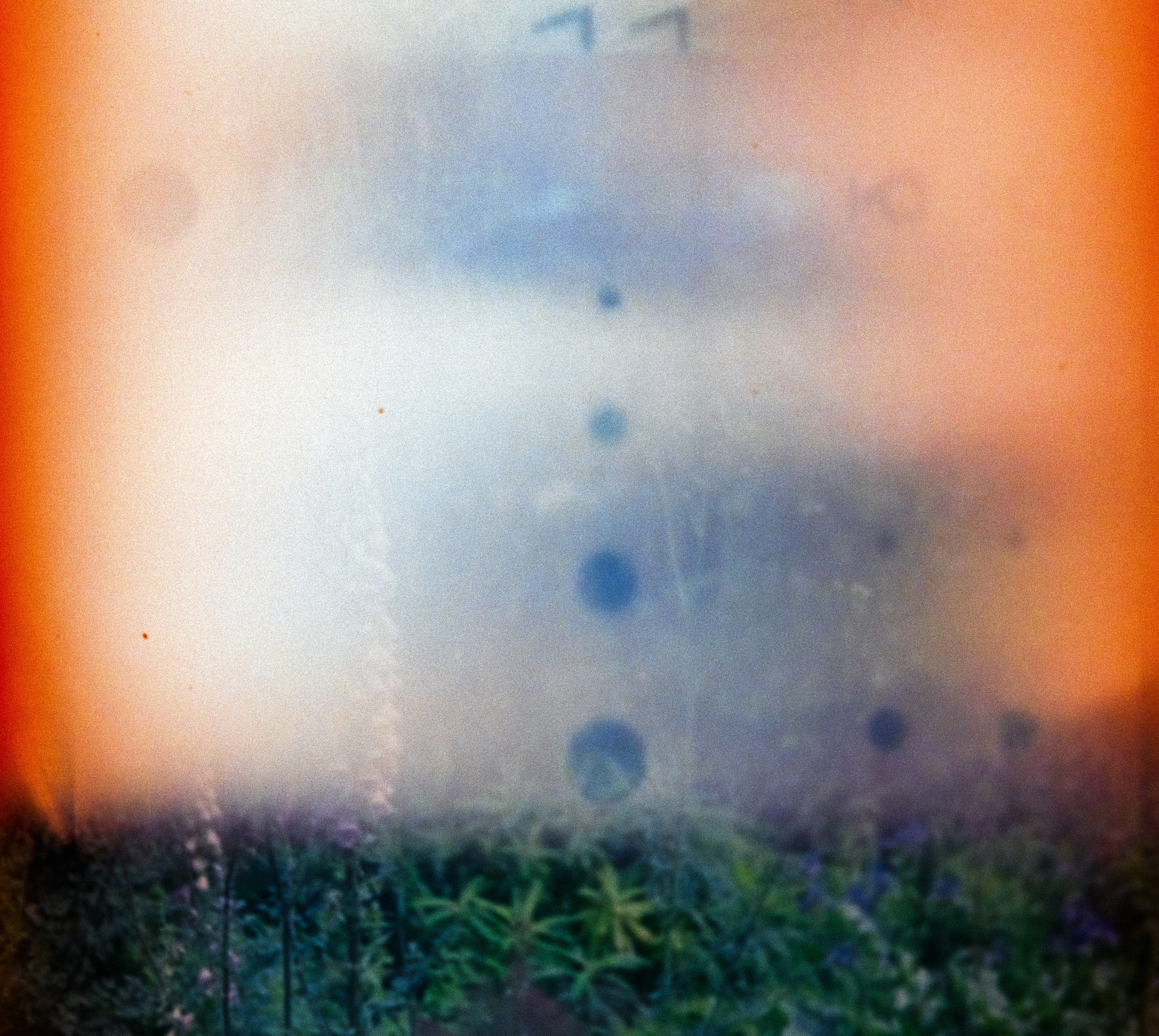 Photo by anniespratt