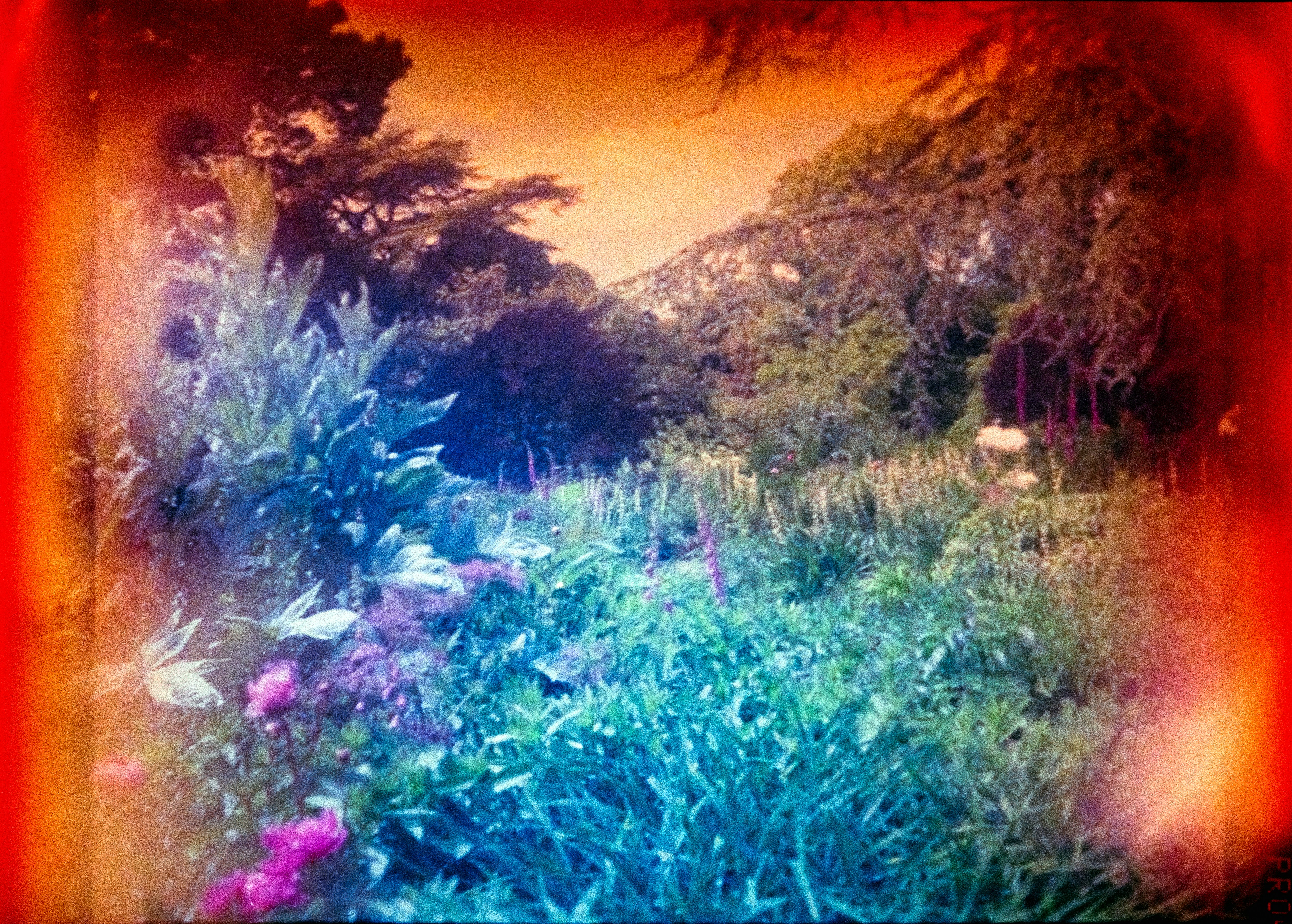 Photo by anniespratt
