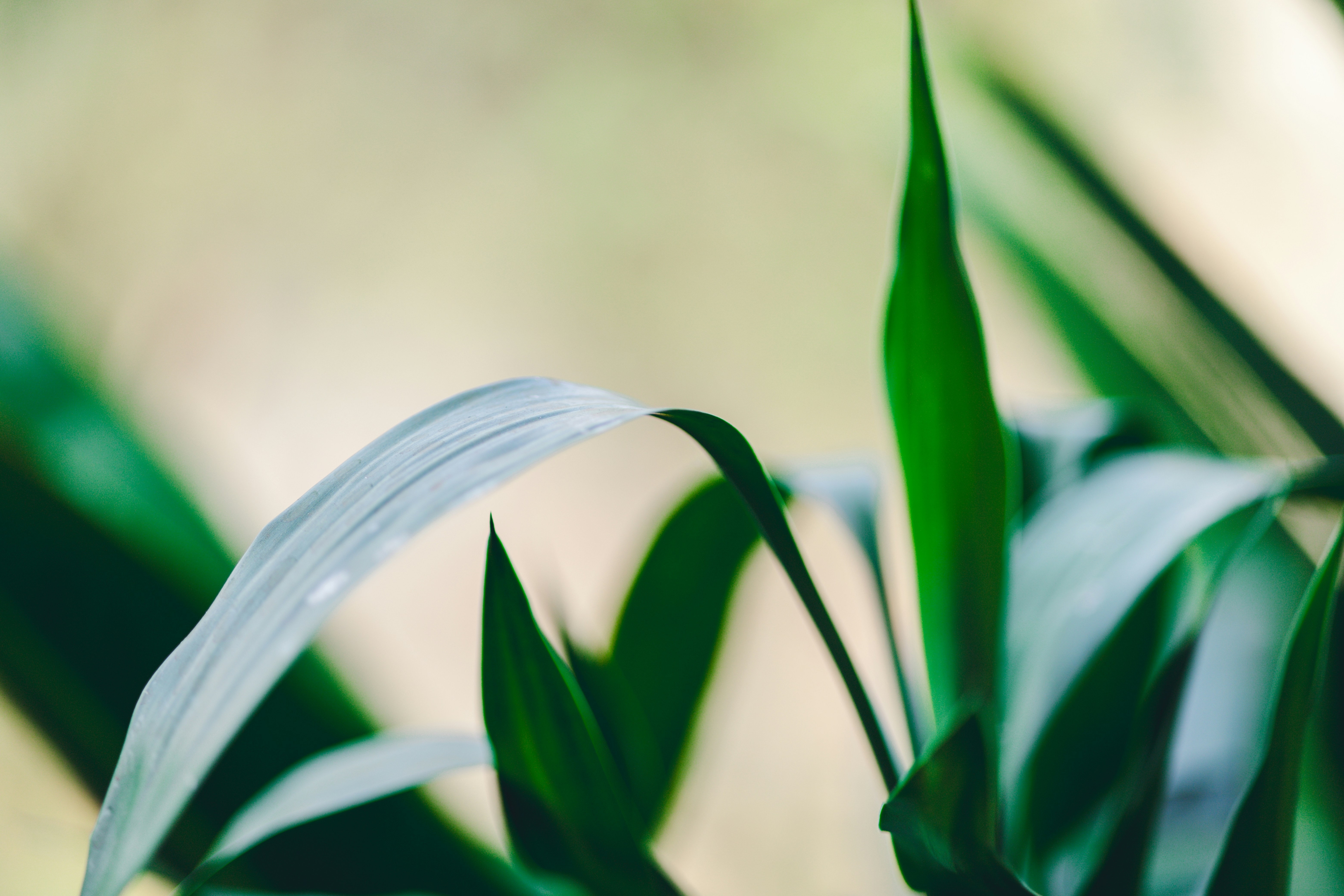 Photo by rrodriguesim