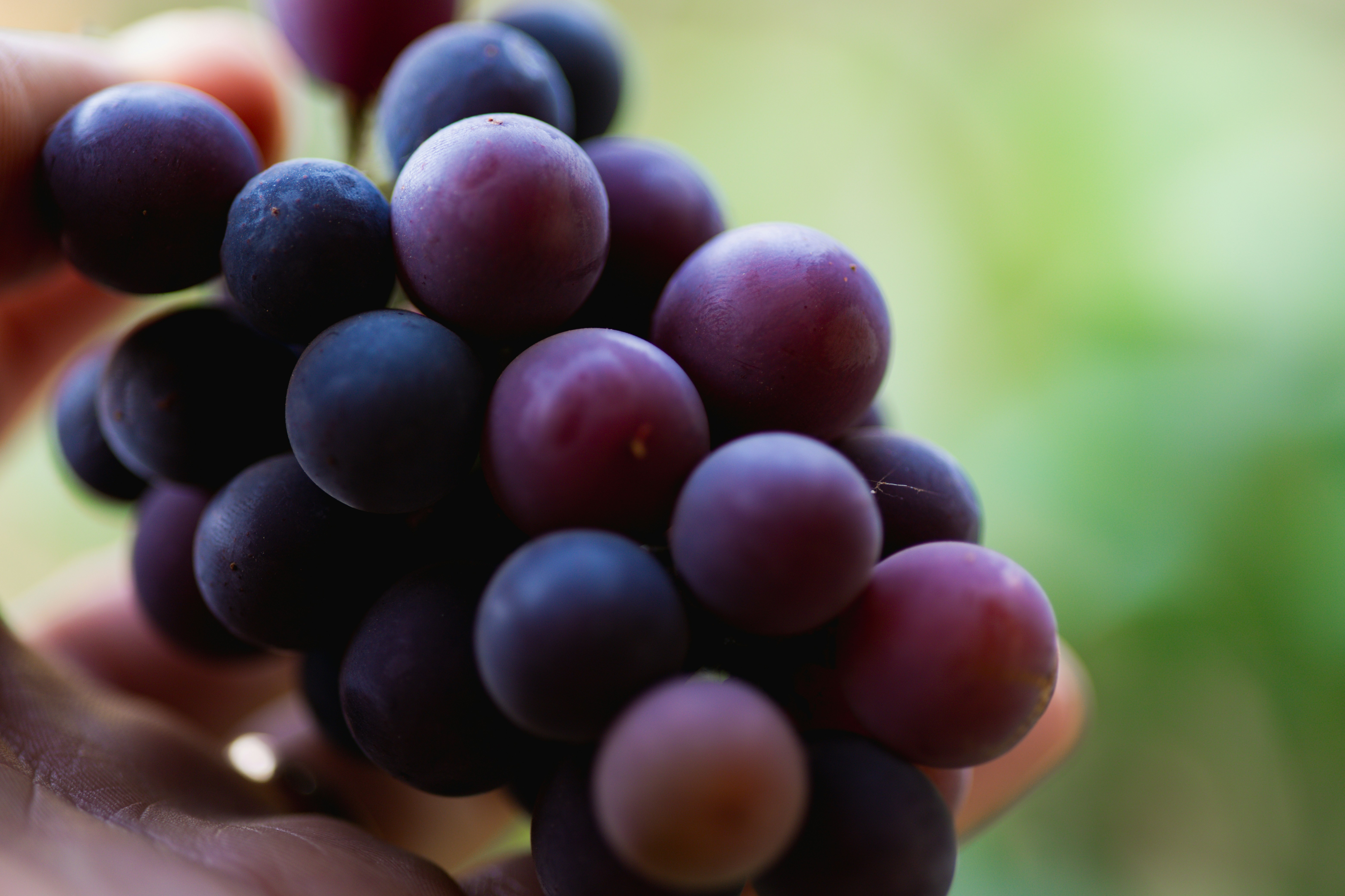 Photo by rrodriguesim