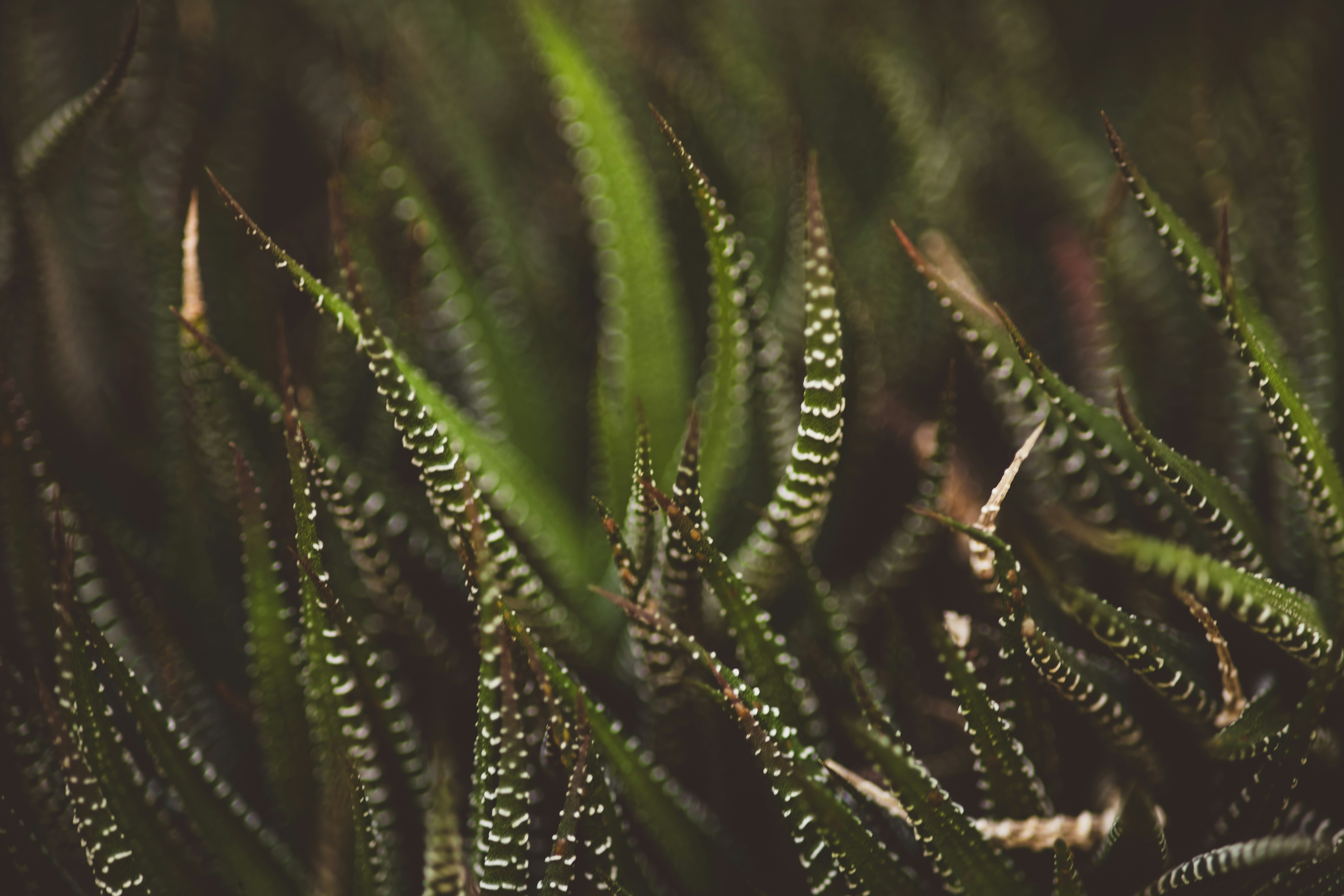 Photo by rrodriguesim