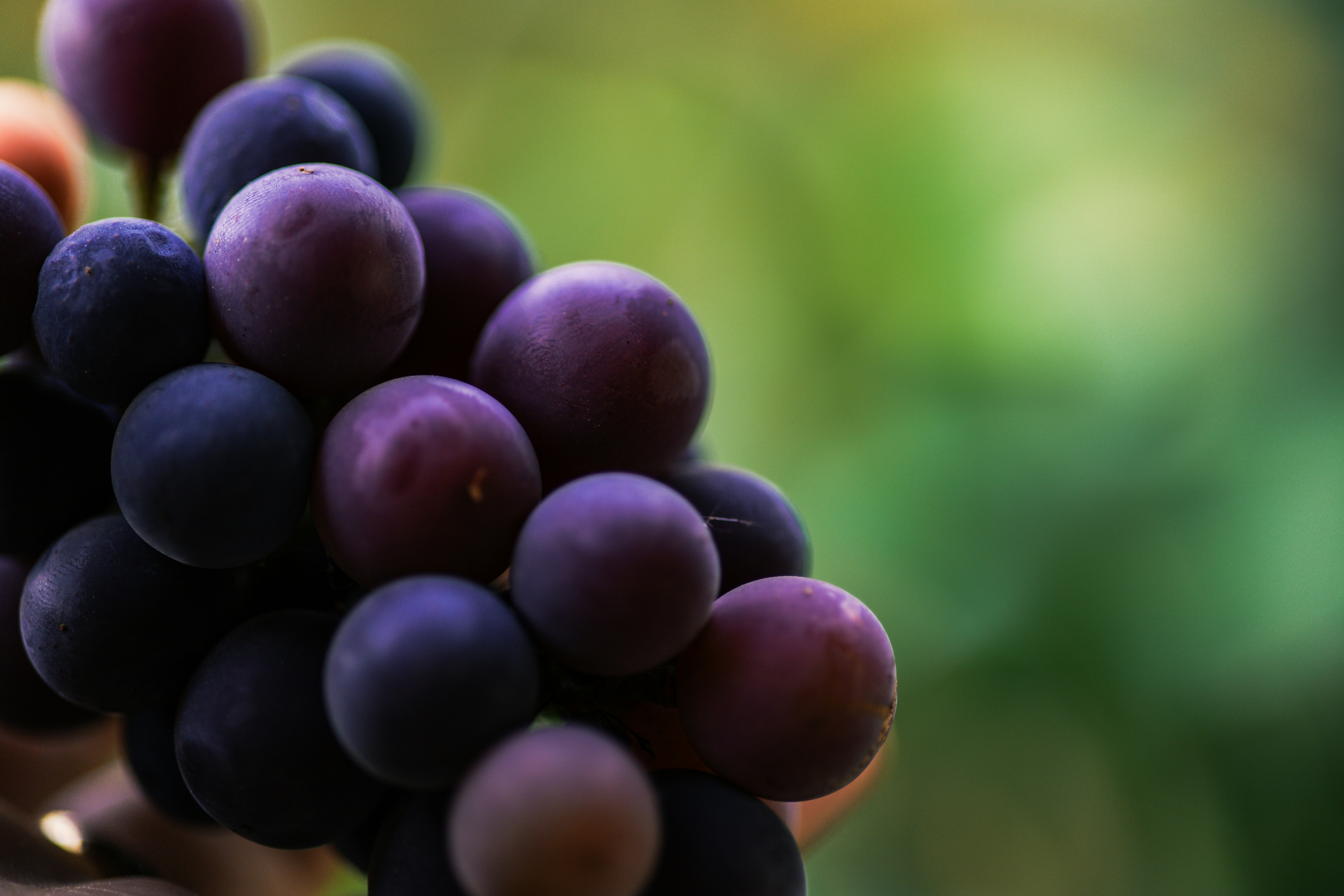 Photo by rrodriguesim