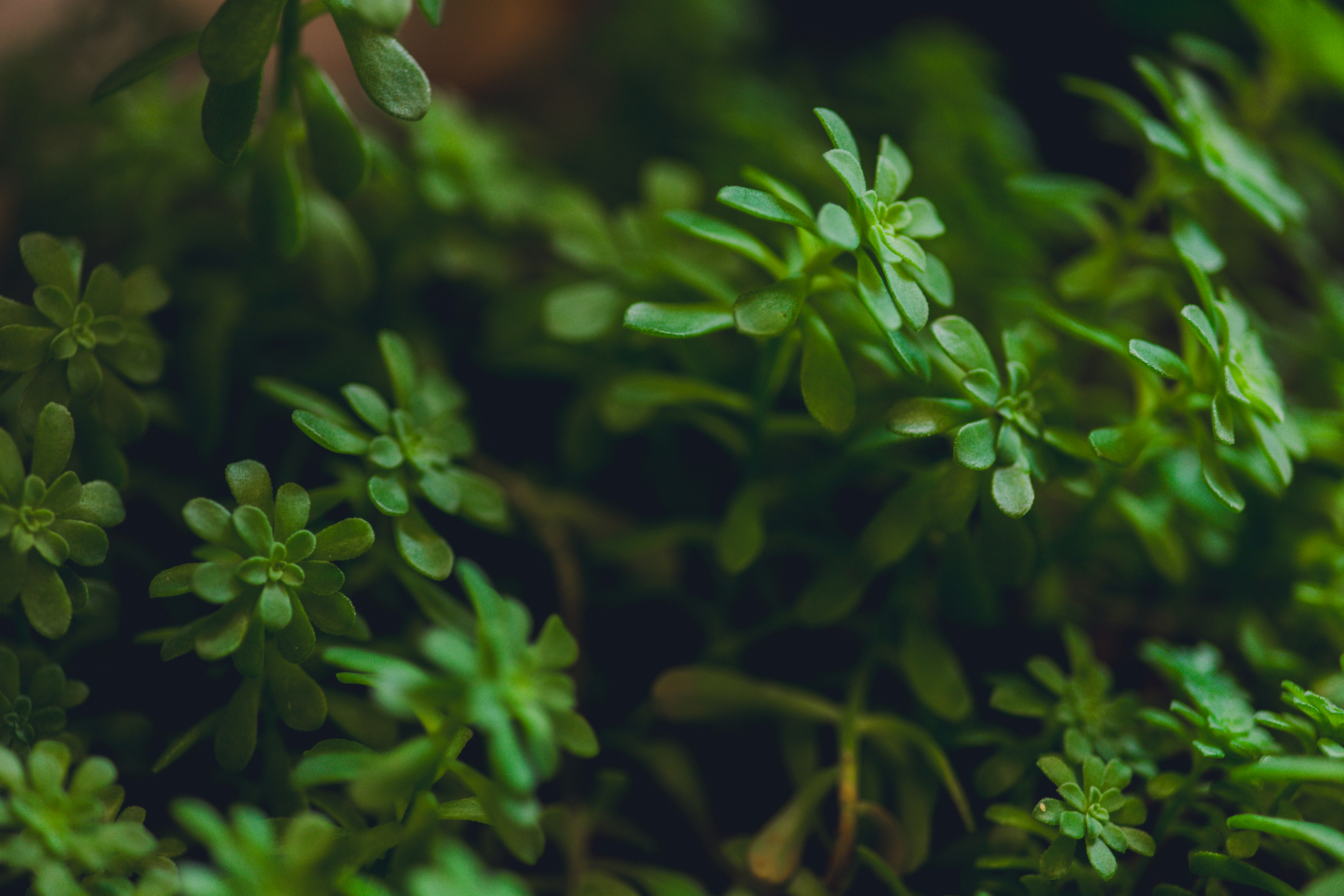 Photo by rrodriguesim