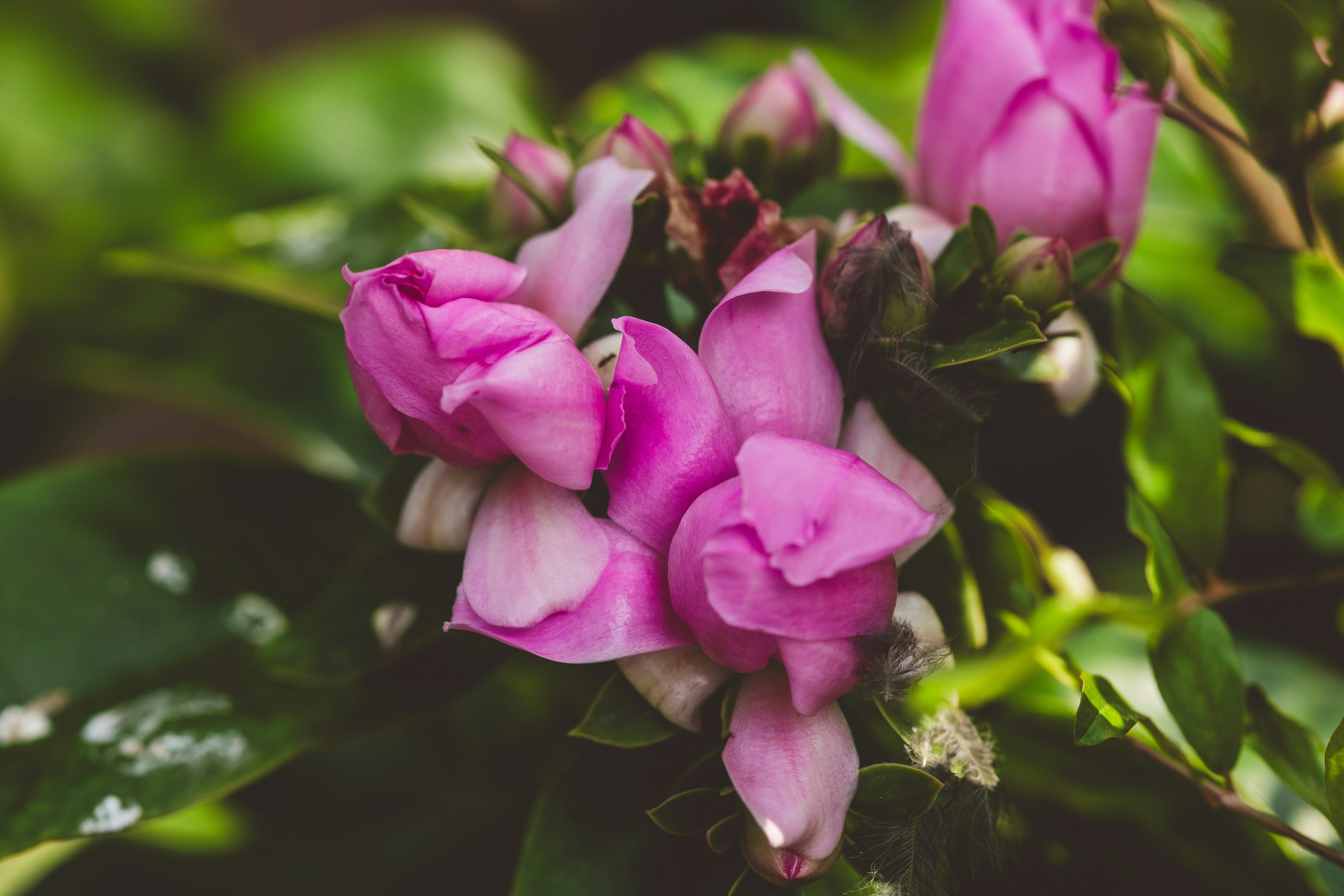 Photo by rrodriguesim