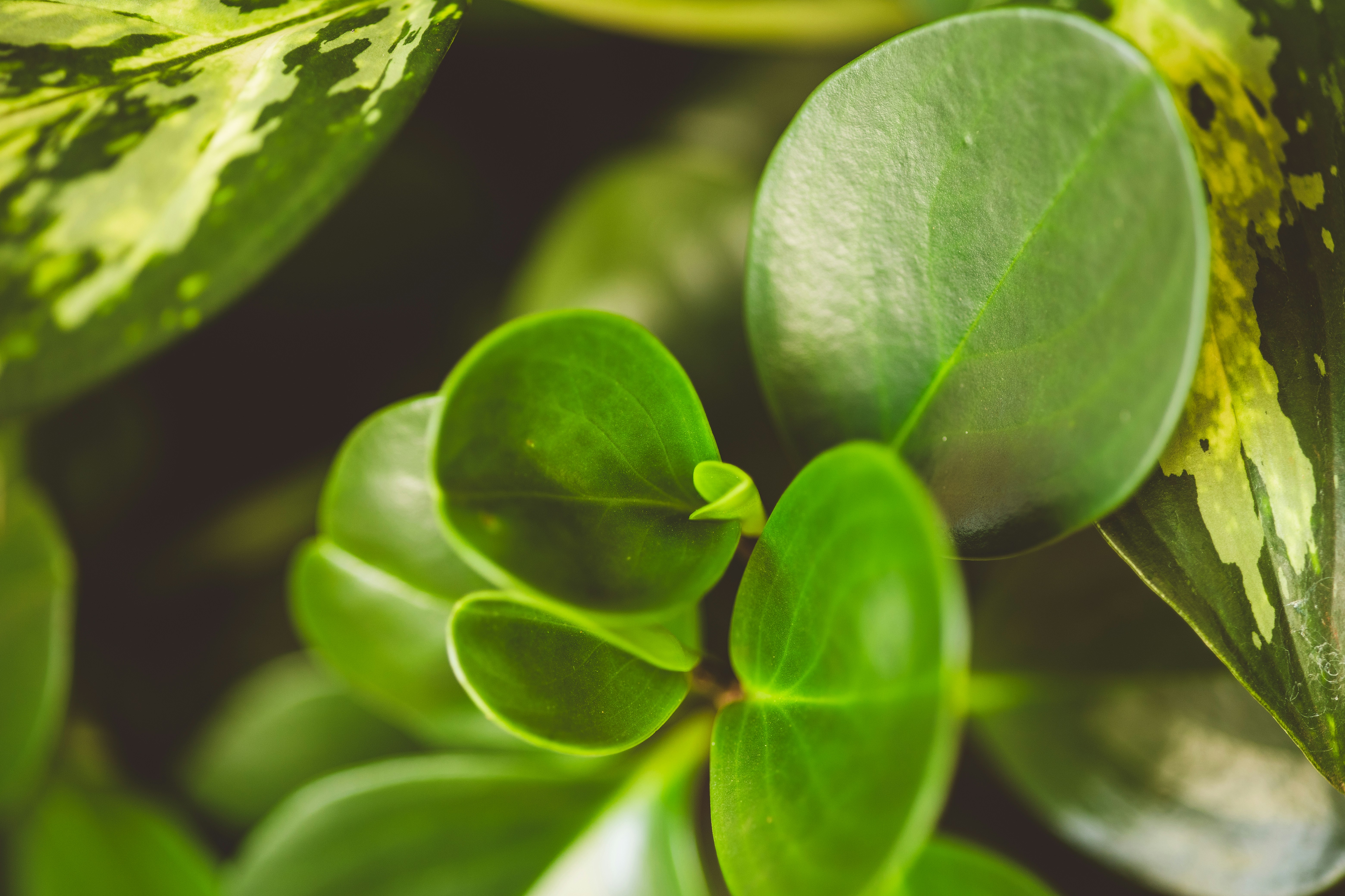 Photo by rrodriguesim