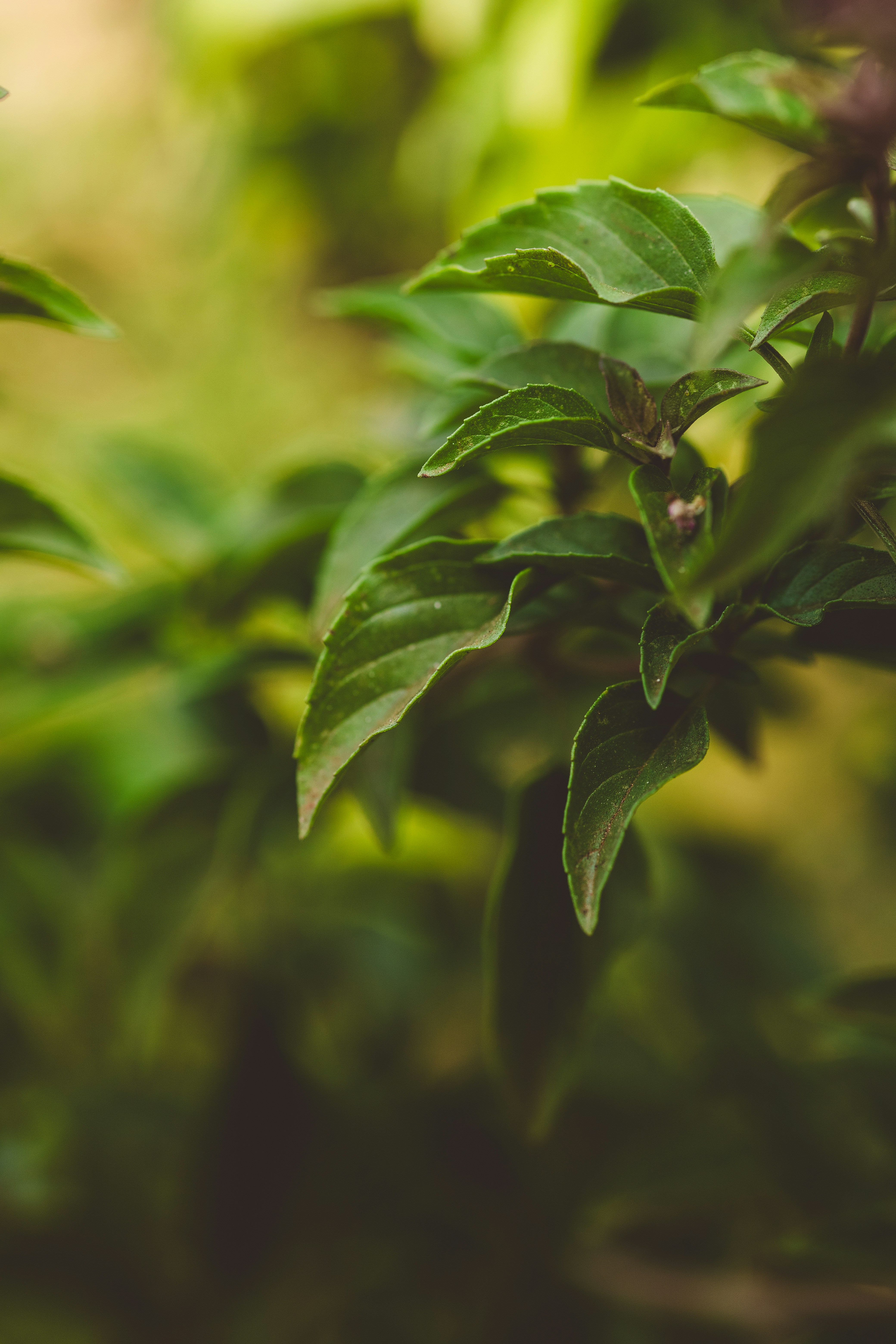 Photo by rrodriguesim