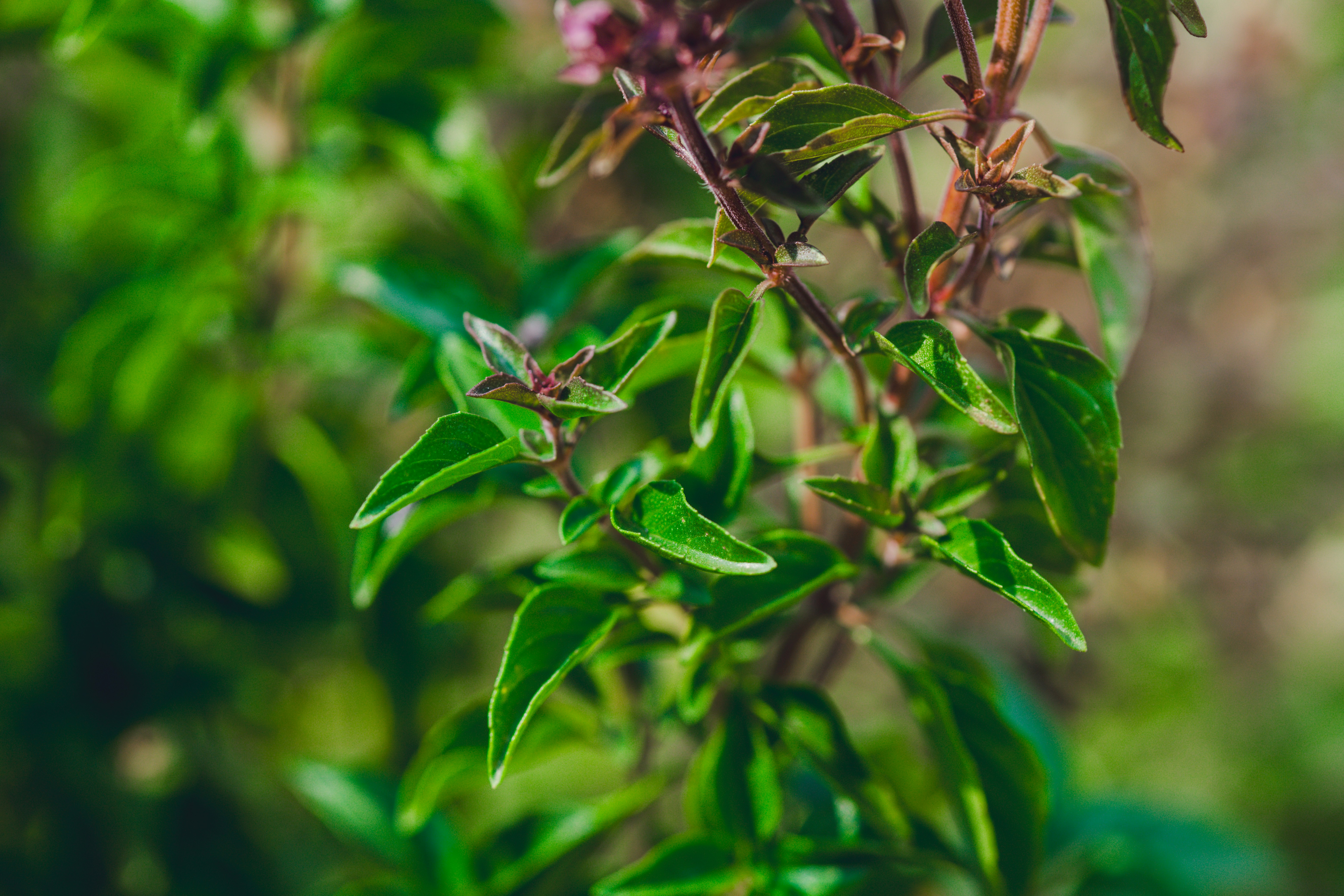 Photo by rrodriguesim