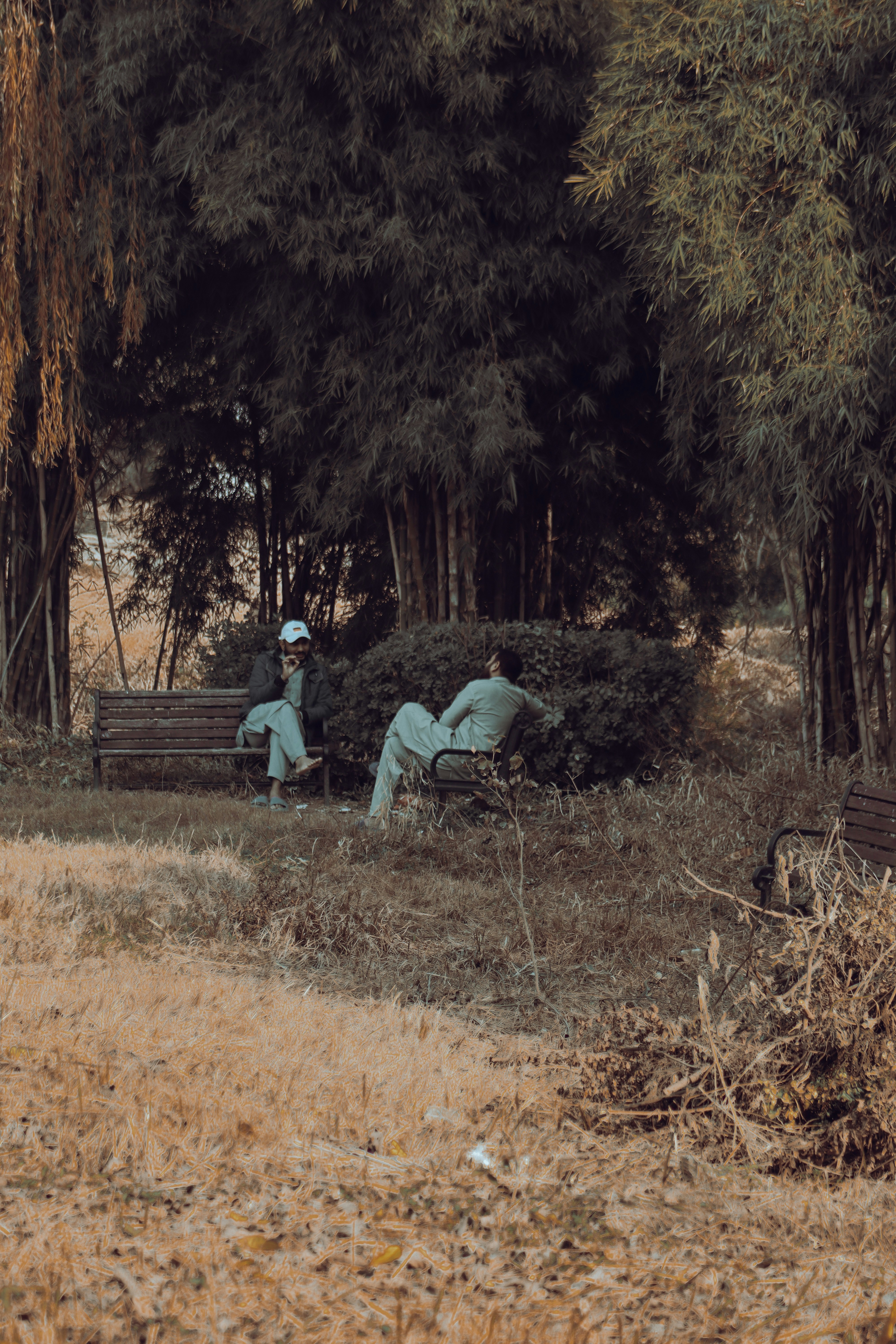 Photo by alihamzatullah