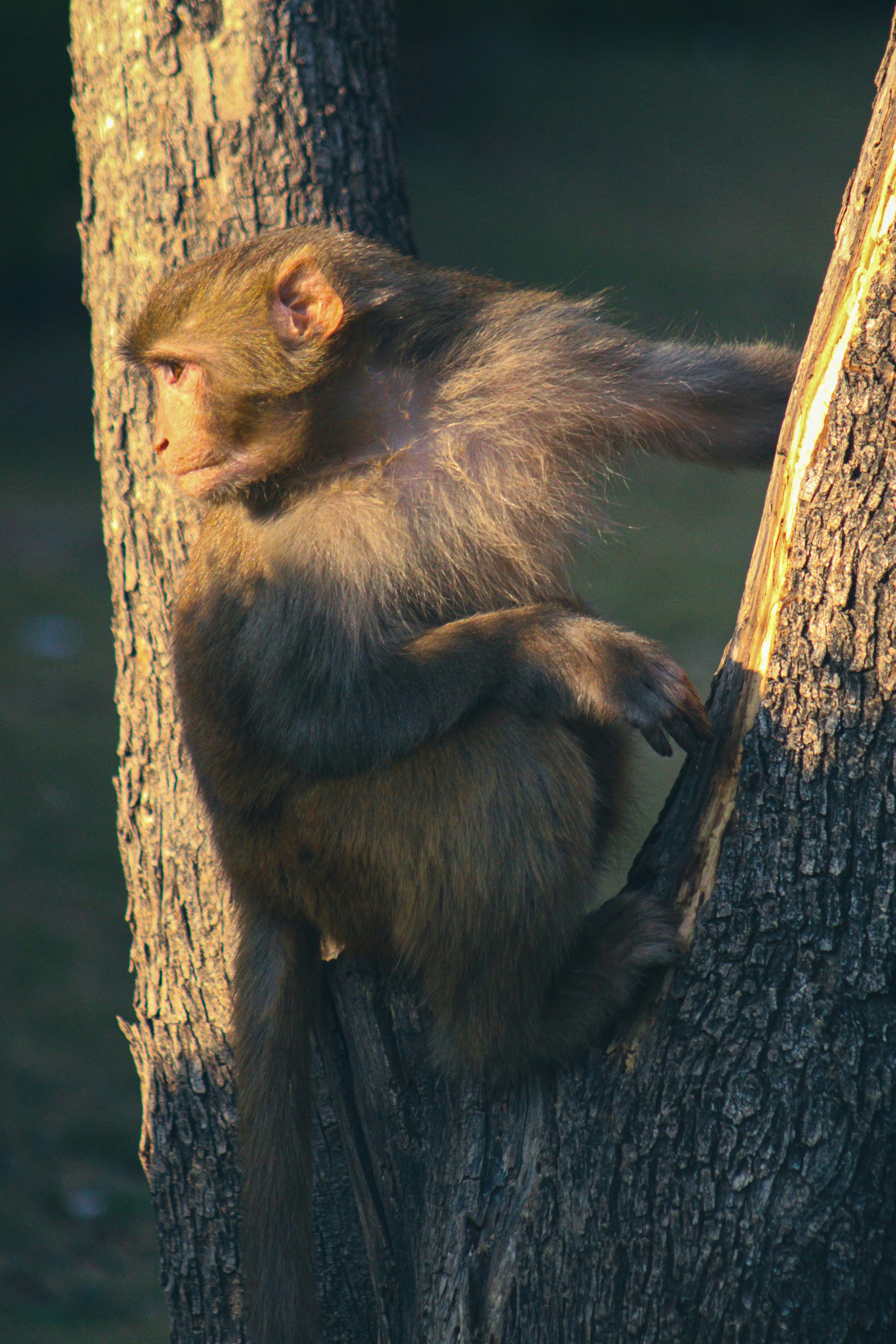 Photo by alihamzatullah